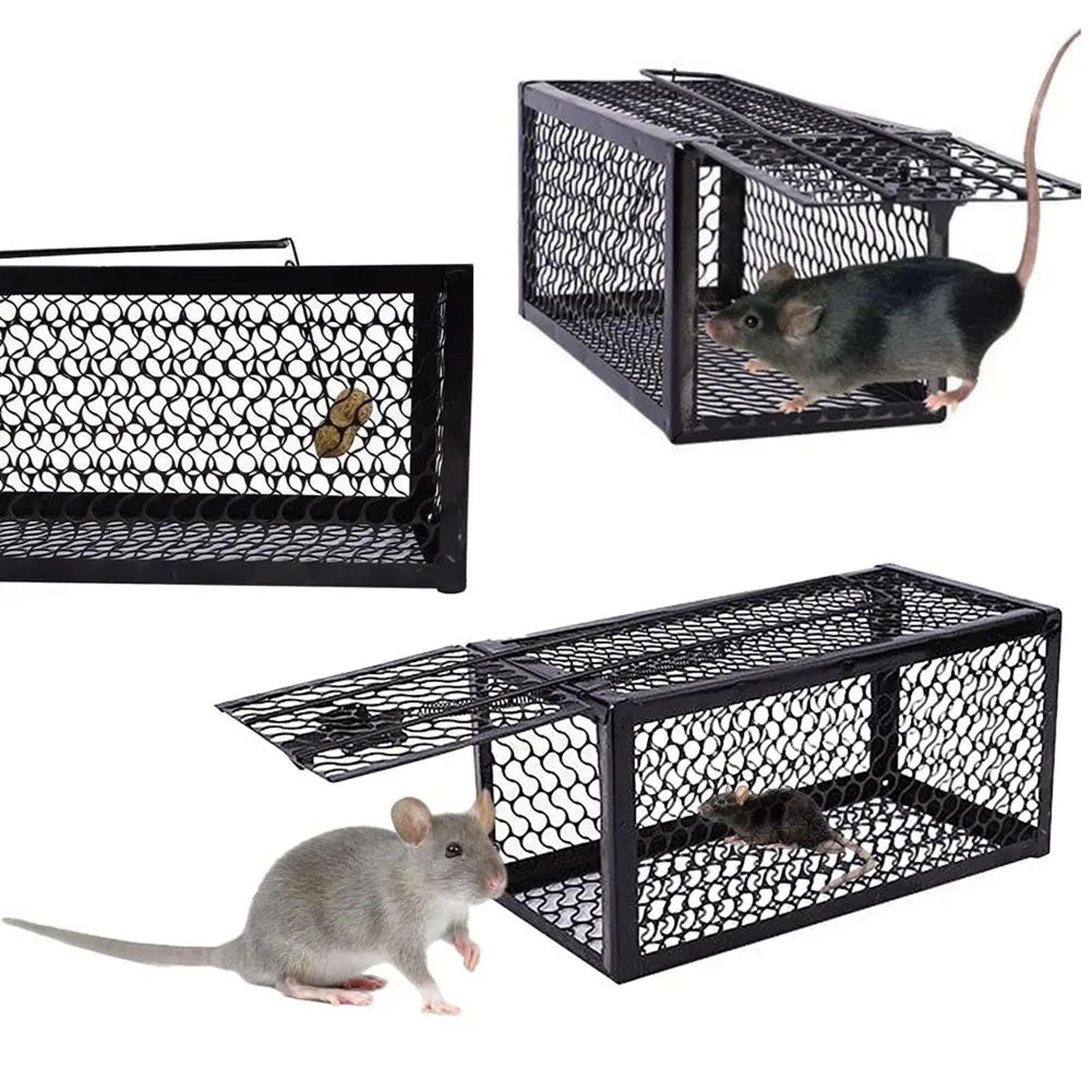 SafeHome Mouse Trap  HighAdhesion Sticky Mouse Board For Reliable Indoor Pest Control 3