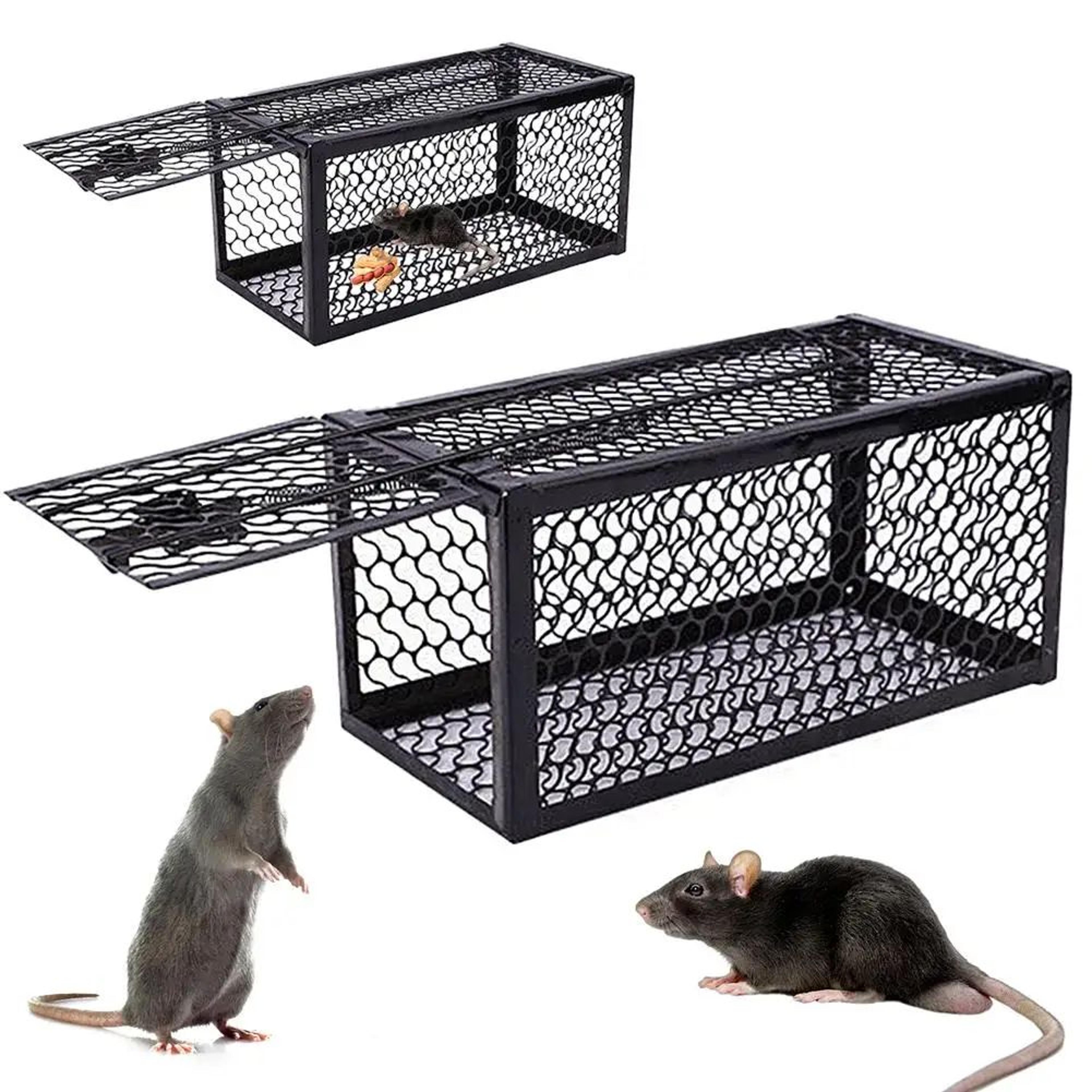 SafeHome Mouse Trap  HighAdhesion Sticky Mouse Board For Reliable Indoor Pest Control 4