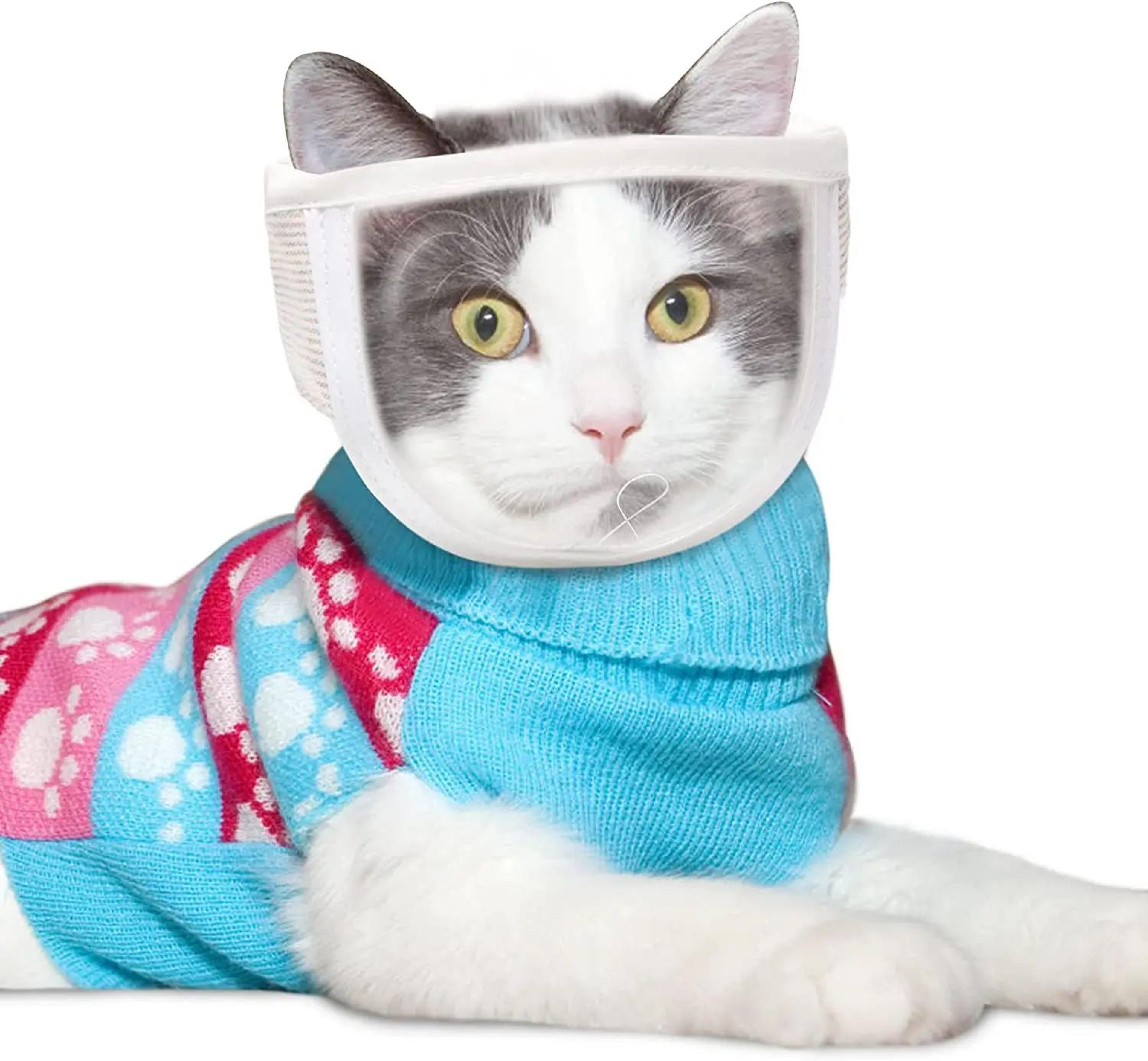 ClearCalm Pet Muzzle  Transparent Cat Muzzle  Breathable AntiBite Grooming Mask For Cats And Small  3