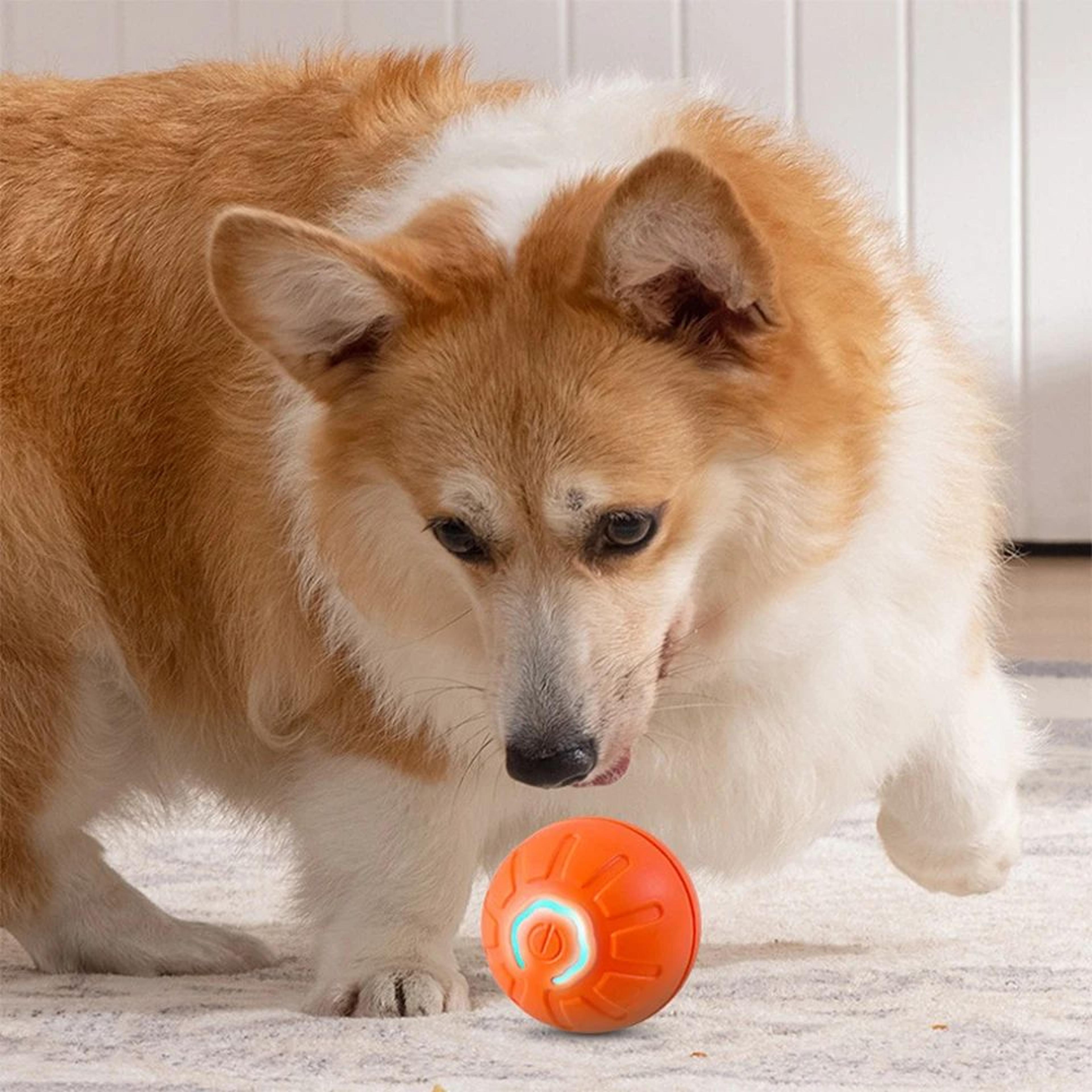 BounceMate Active Play Ball  Smart Dog Toy Ball  Interactive Rolling Toy For Dogs And Cats 1