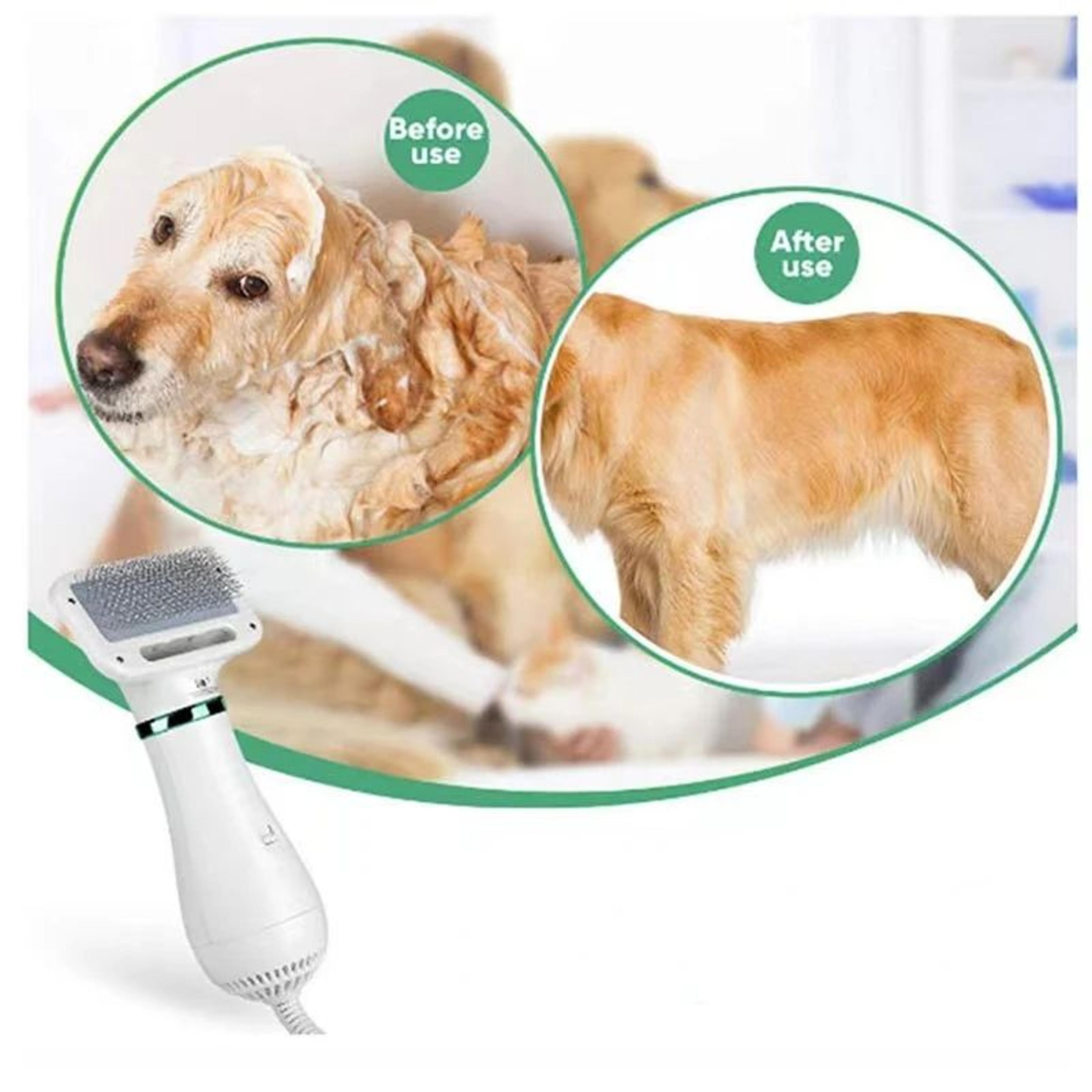 DryNStyle Pro Grooming Tool  2in1 Pet Dryer Brush With Quiet Airflow For Cats And Dogs 3