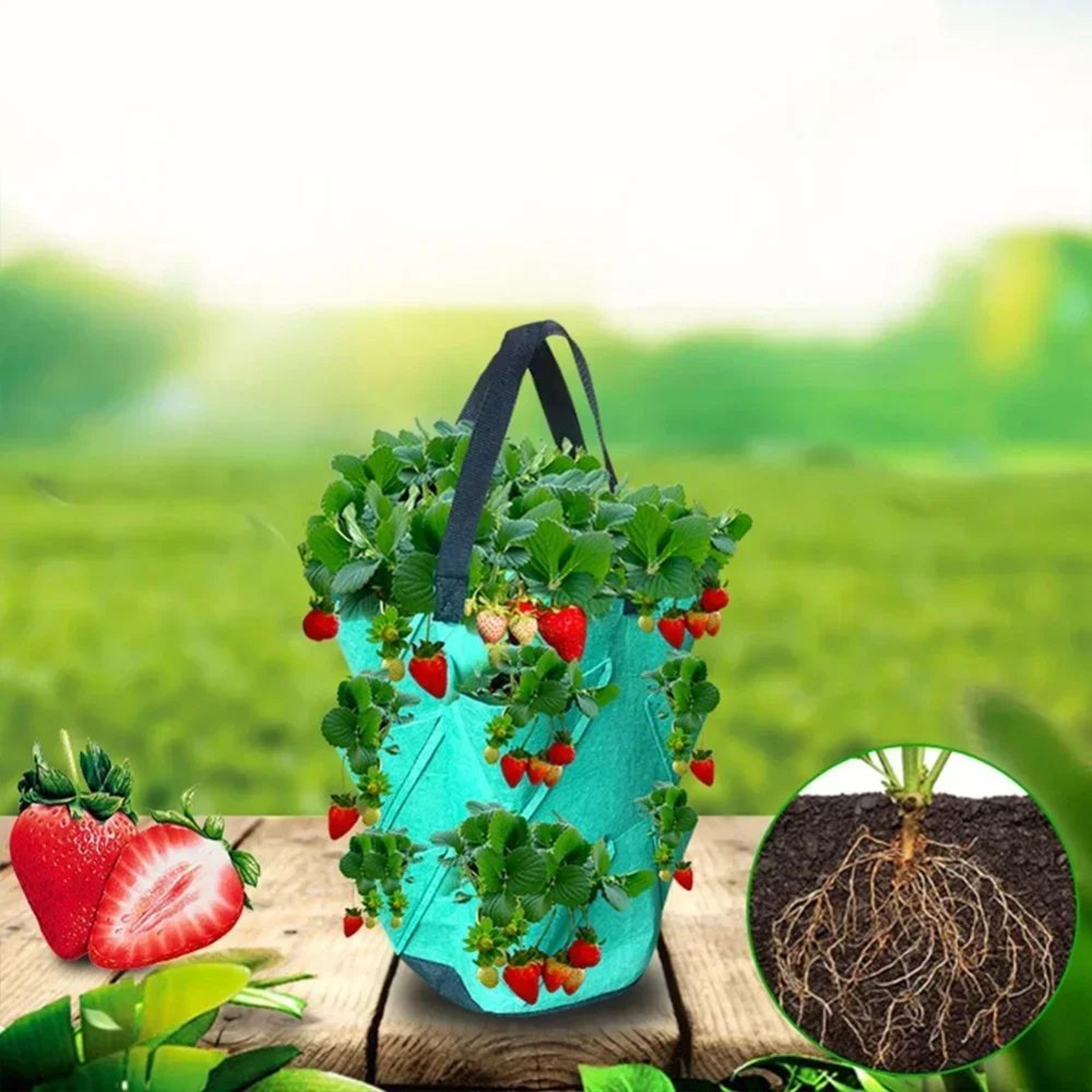Hanging Strawberry Grow Bag  SpaceSaving Plastic Planting Bag For Home Gardens 1