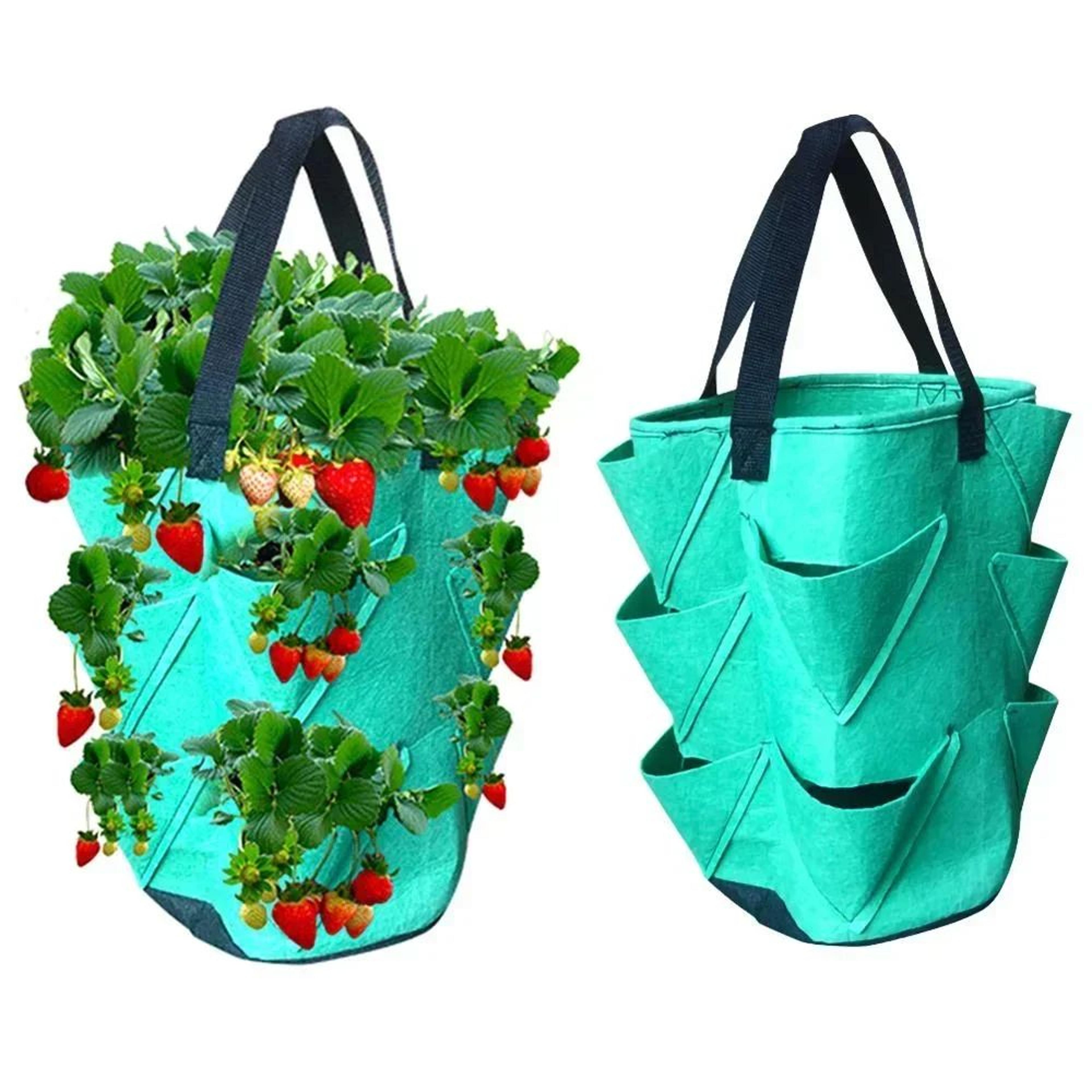 Hanging Strawberry Grow Bag  SpaceSaving Plastic Planting Bag For Home Gardens 2