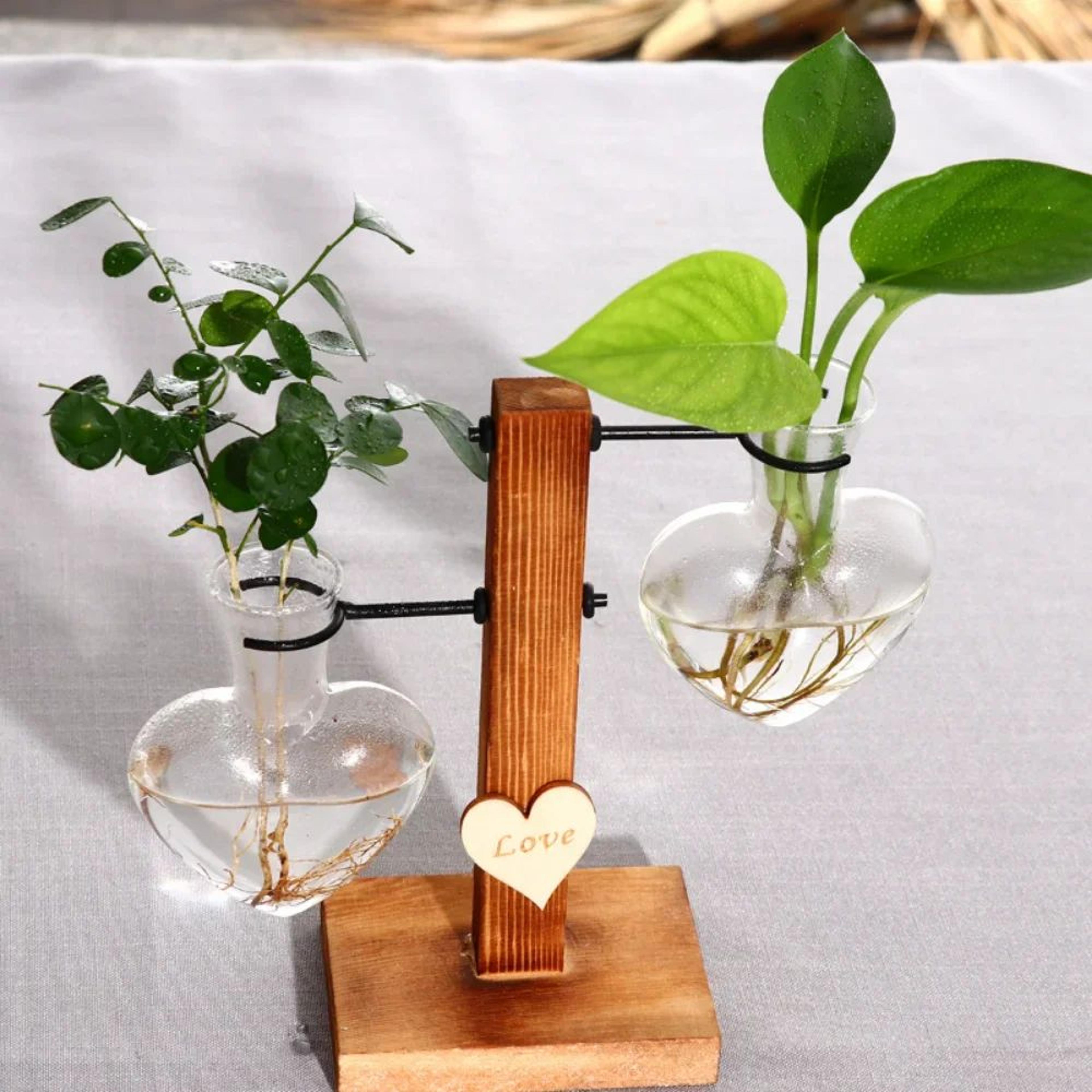 vintage hydroponic glass vase – desktop plant propagation terrarium