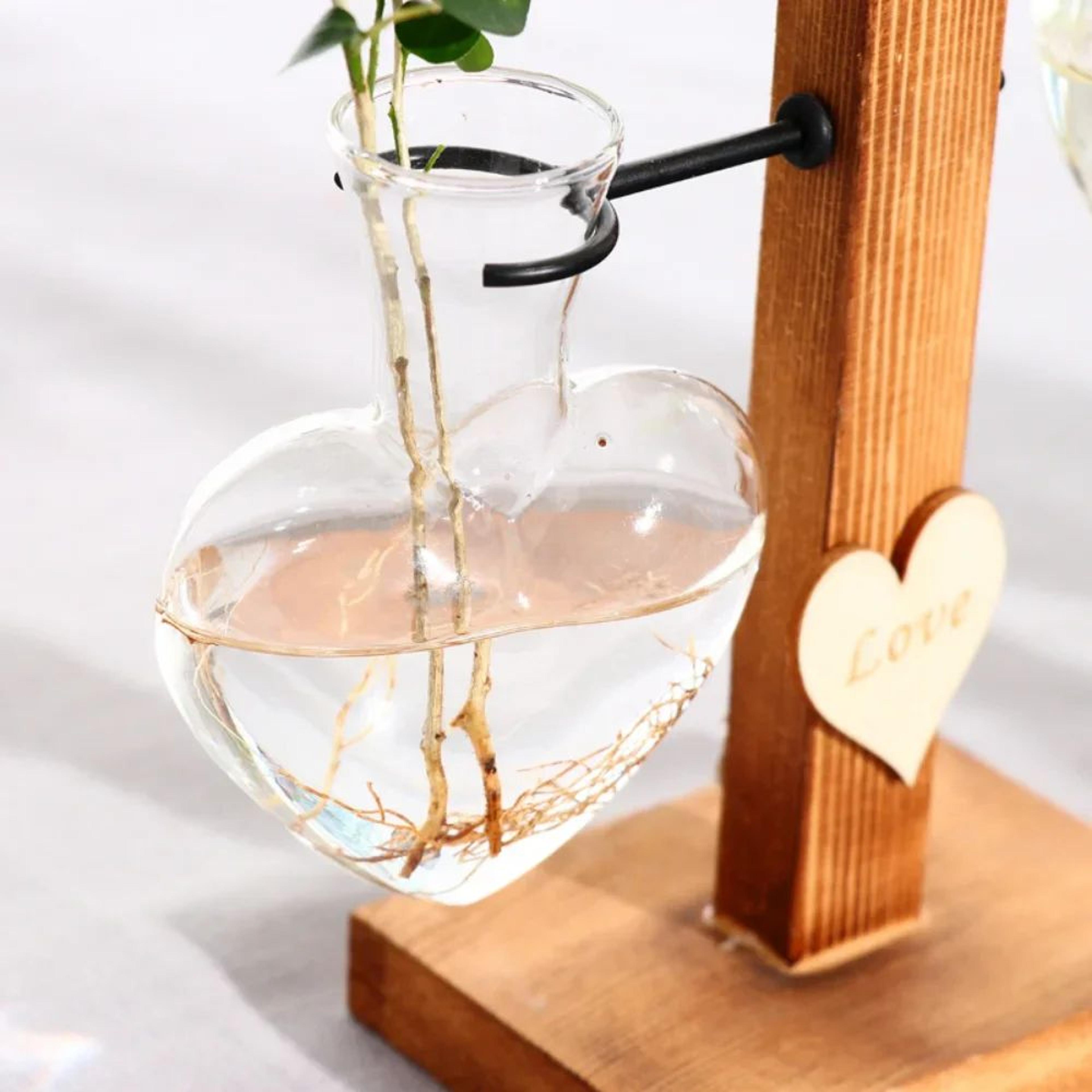 Vintage Hydroponic Glass Vase  Desktop Plant Propagation Terrarium 2