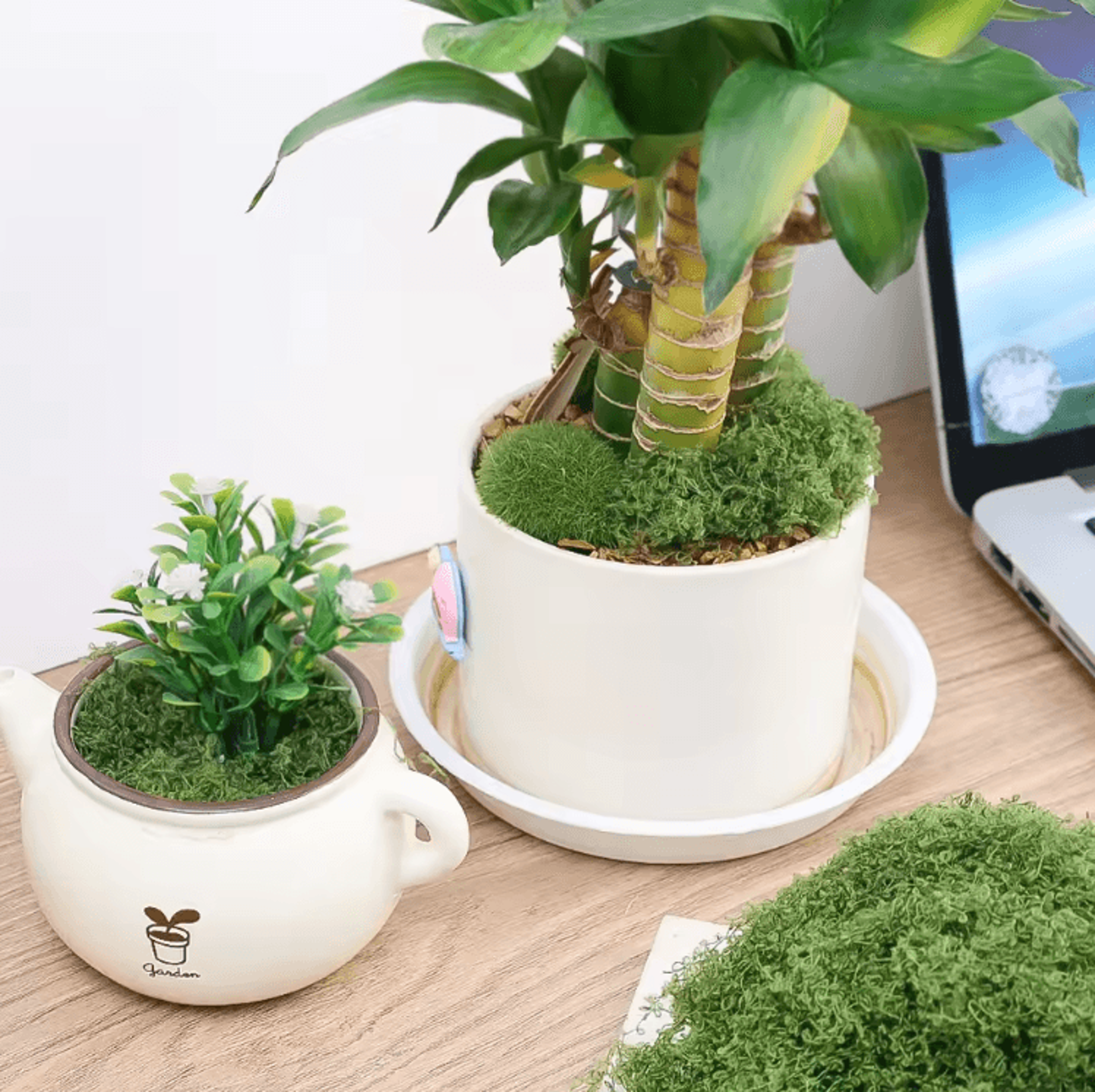 Artificial Green Moss For Crafts  Mini Landscapes  DIY Decorative Moss Grass For Plants  Home Decor 1