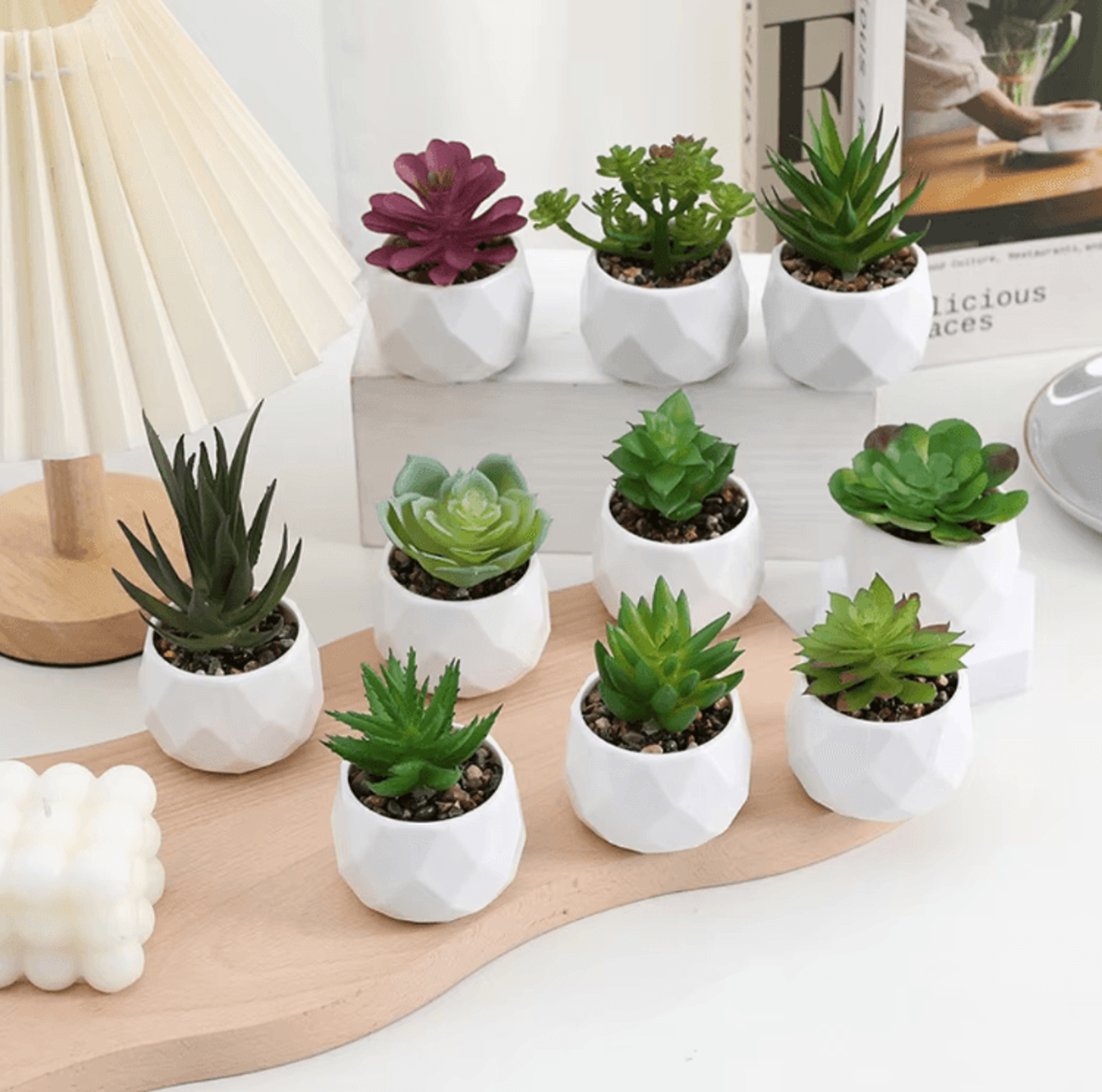 add a refreshing touch of greenery to your space with this charming artificial succulent bonsai designed for effortless
