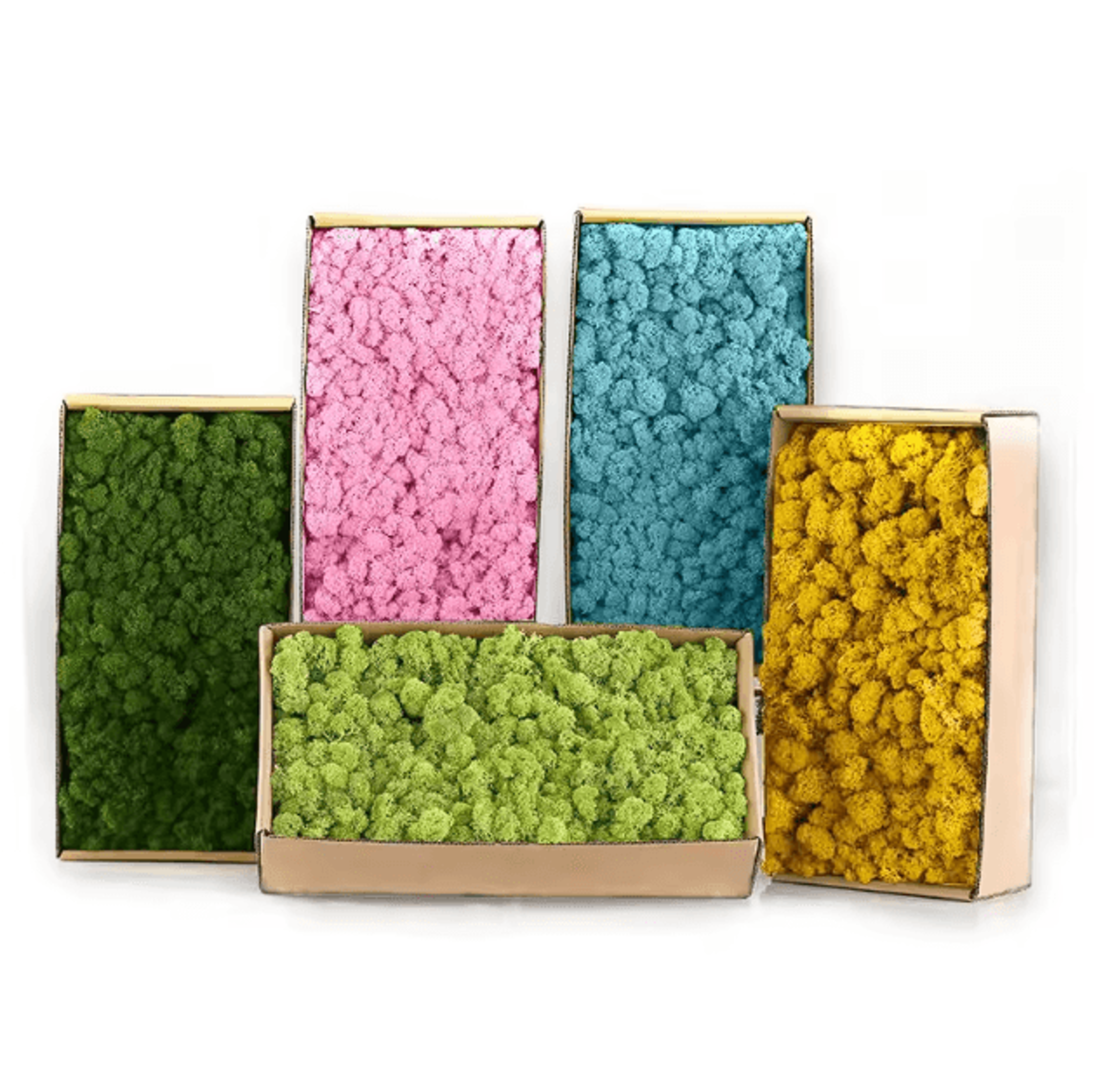 Mini Artificial Moss Grass Decor  Realistic Green DIY Landscape For Home  Crafts 0