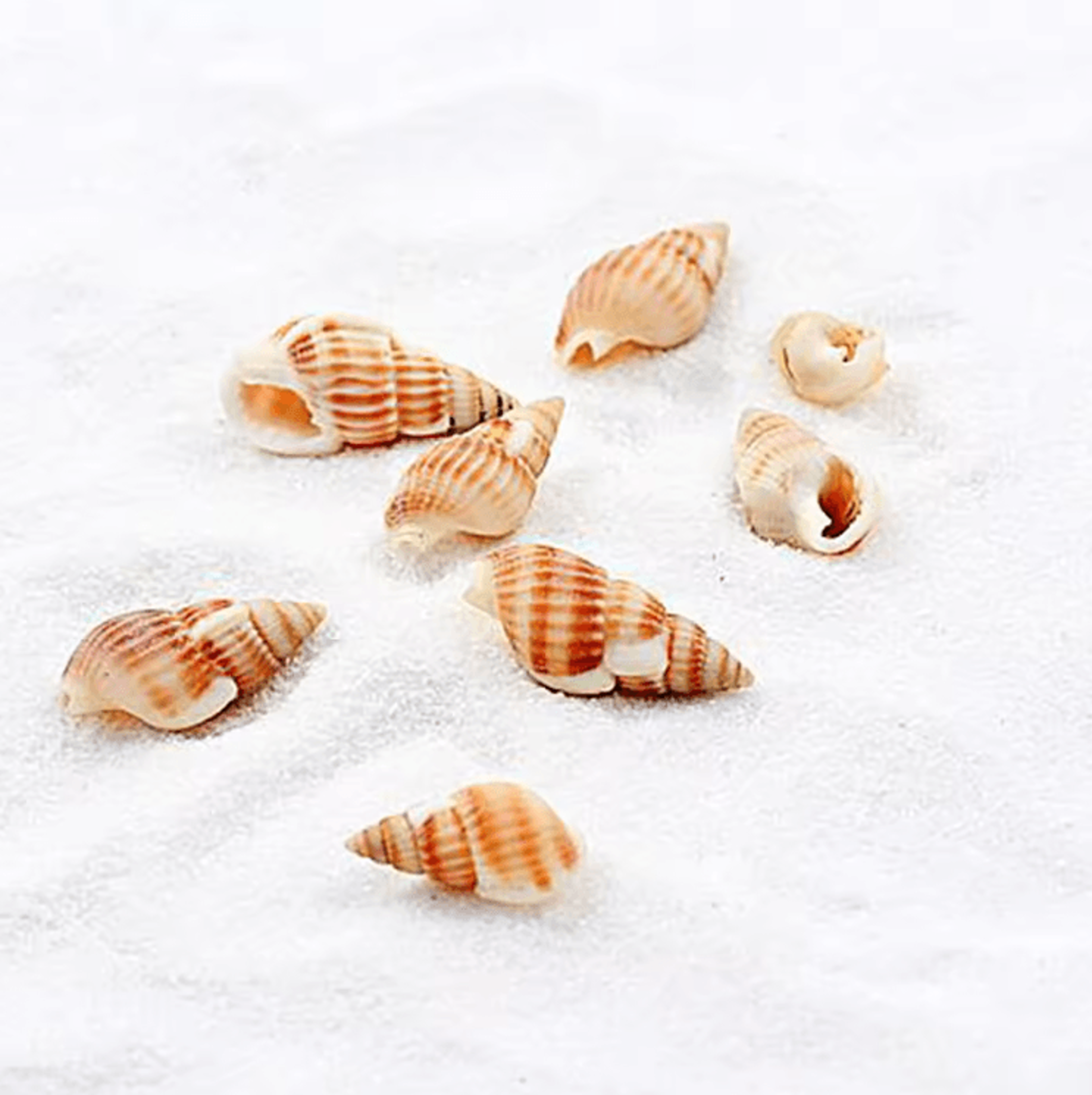 Mini White Decorative Sand 80g  DIY Landscape Aquarium  Zen Garden Base 2