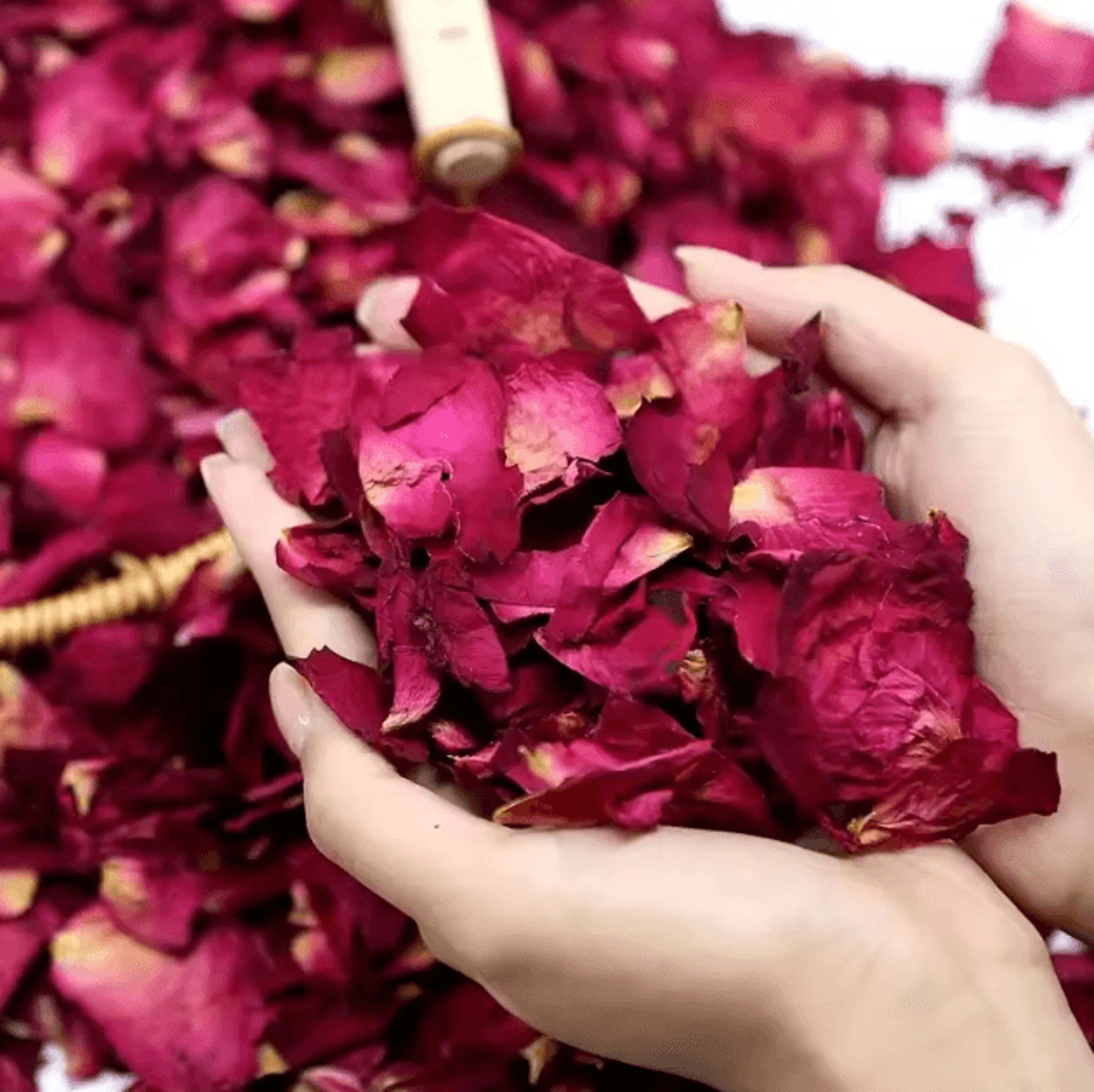 Natural Dried Rose Petals 500g  Aromatherapy Bath Spa  Wedding Decor Flowers 1