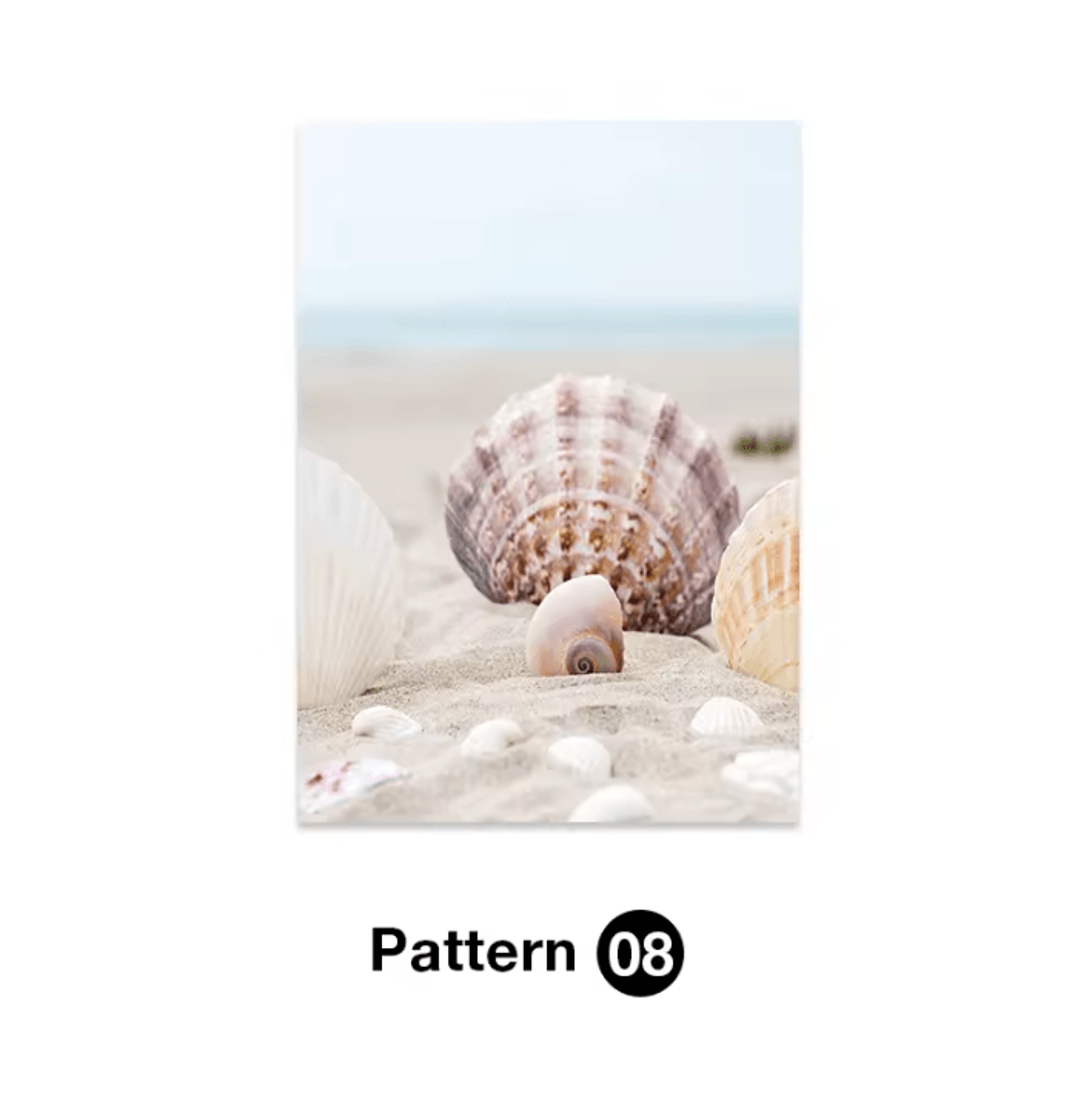 Tropical Ocean Shell Canvas Wall Art  Summer Beach Aesthetic Print 8