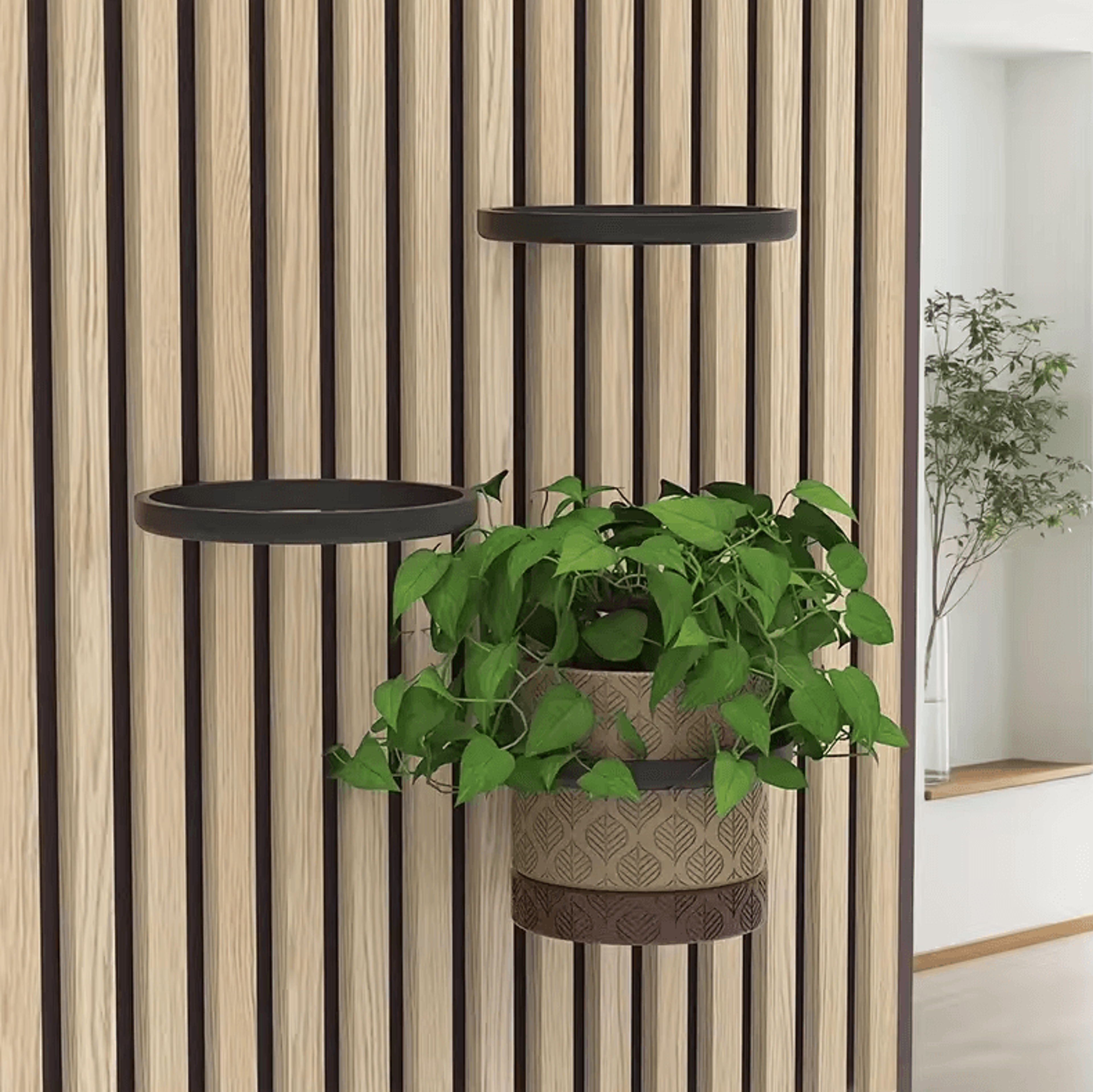 2PCS NoDrill Acoustic Panel Plant Rings  RustProof Holder For Soundproof Boards  Wall Gaps 1