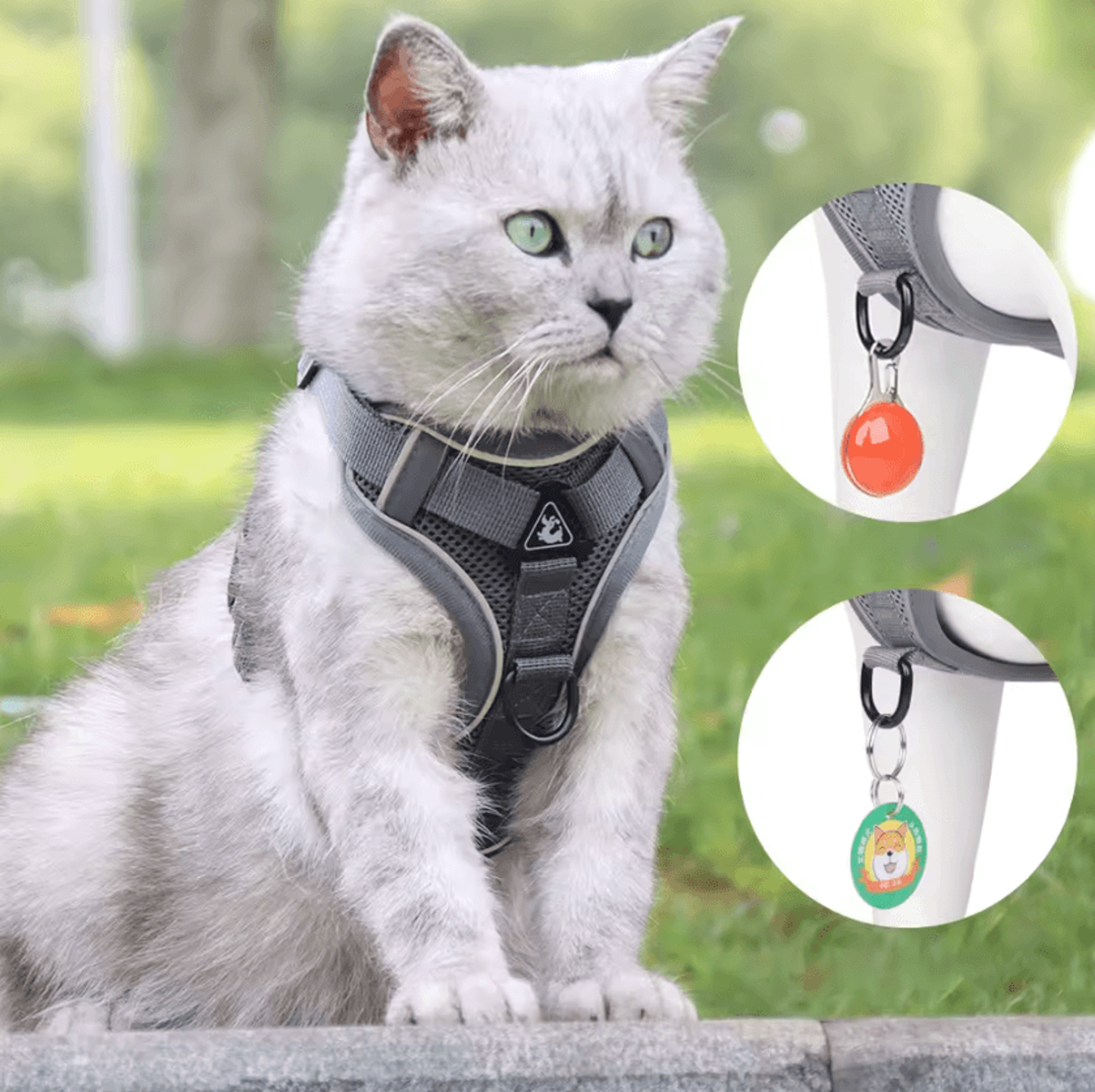 NoPull Reflective Dog Harness  Leash Set  Breathable Vest For Small  Medium Dogs 1