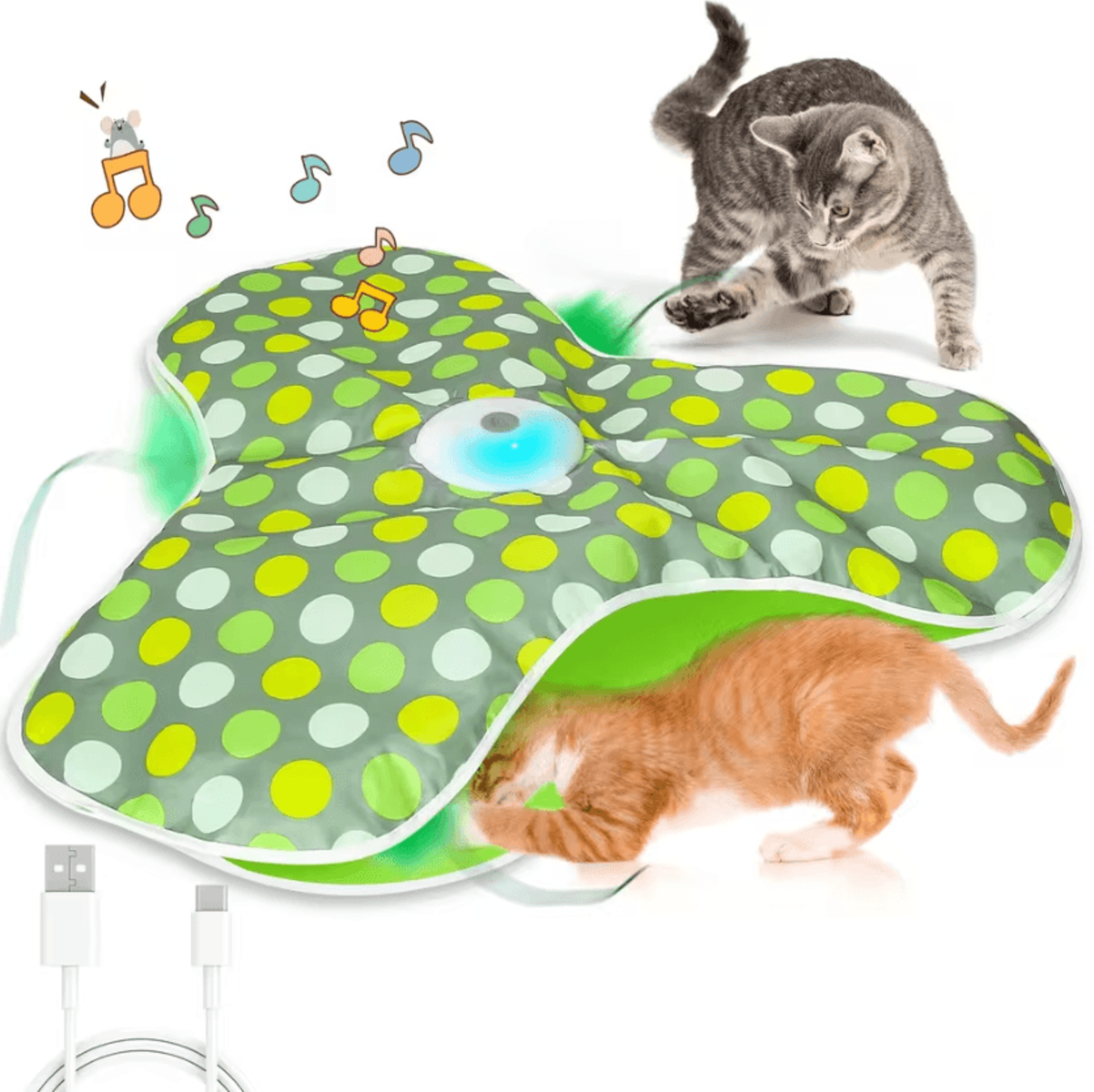 WhiskerHide Interactive Motion Cat Toy With Squeaky Mouse  Feather Teaser 3