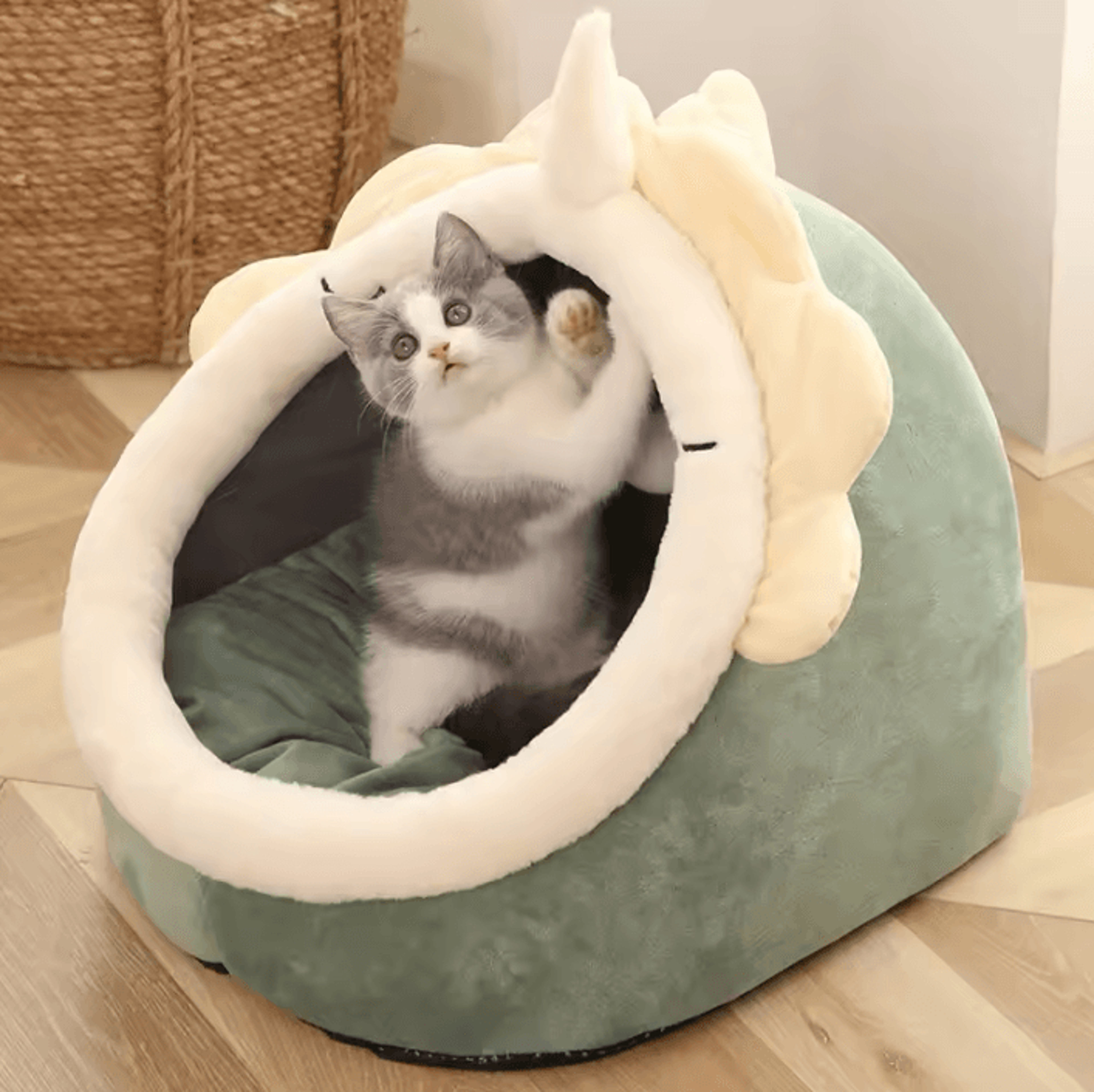 SelfWarming Pet Tent Cave Bed For Cats  Small Dogs 4
