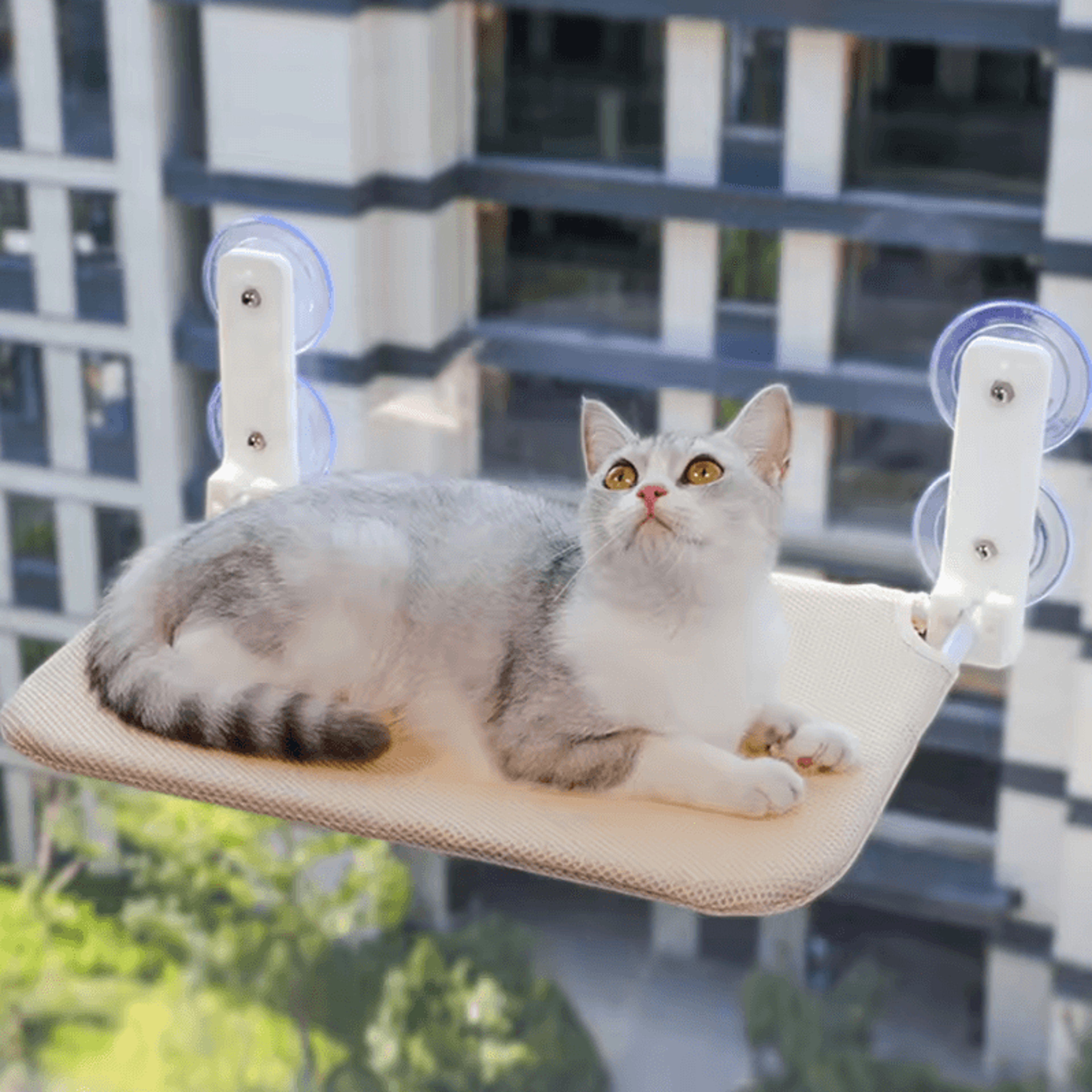 cloudlounge foldable window cat hammock