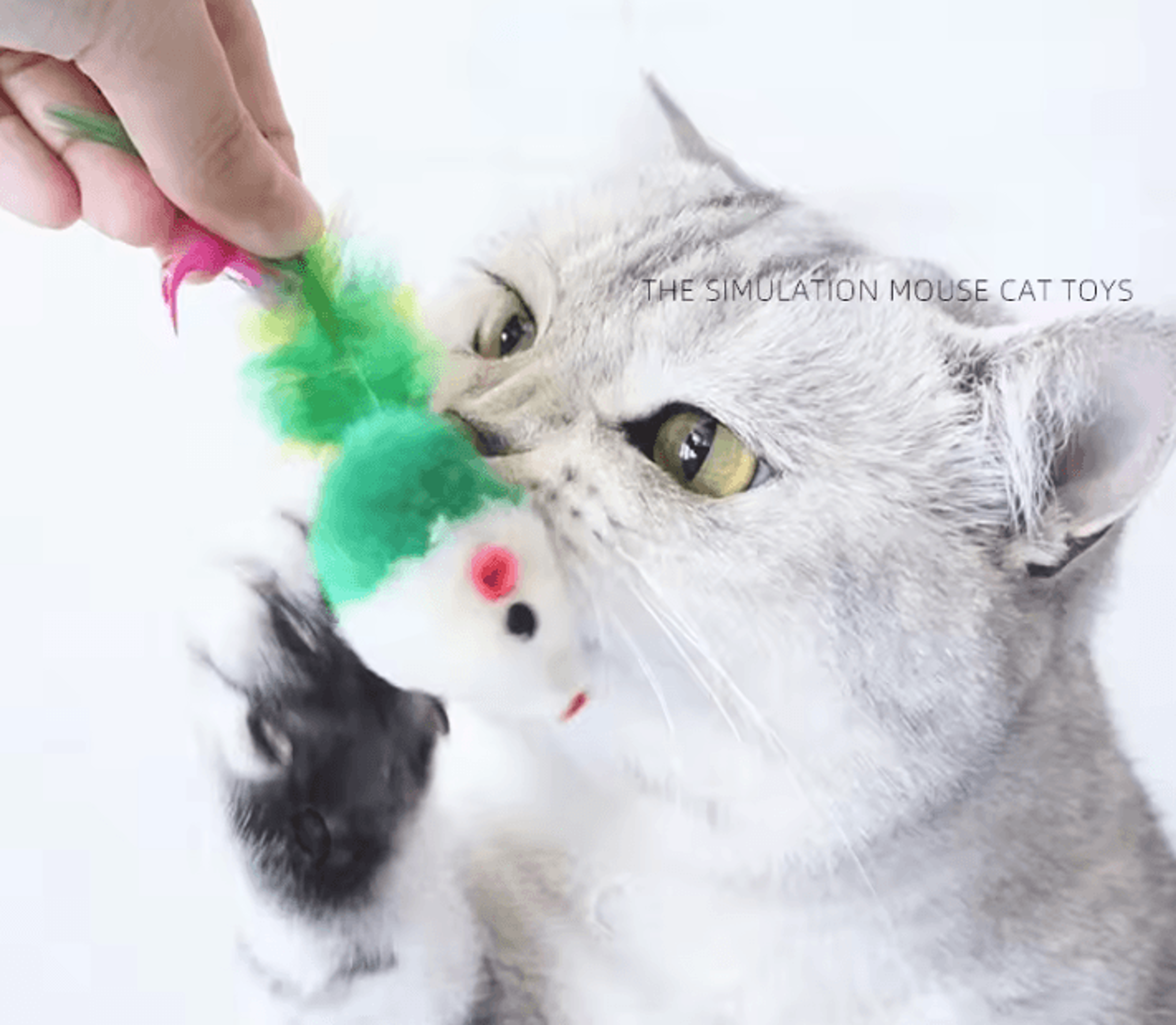 PlayPounce Feather Mouse Cat Toy Set 0