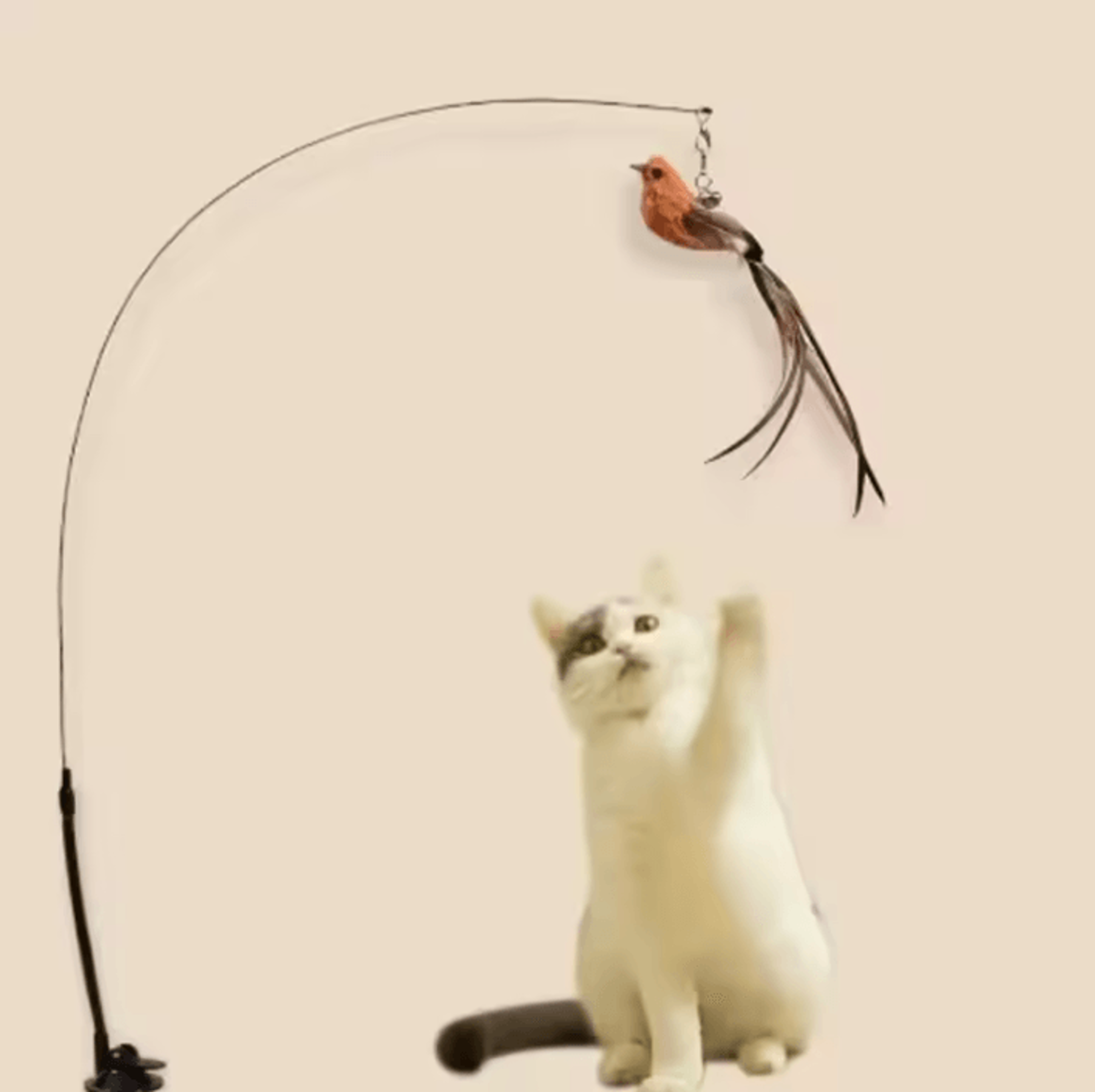 FeatherBounce Interactive Cat Feather Toy With Suction Cup  Bell 2