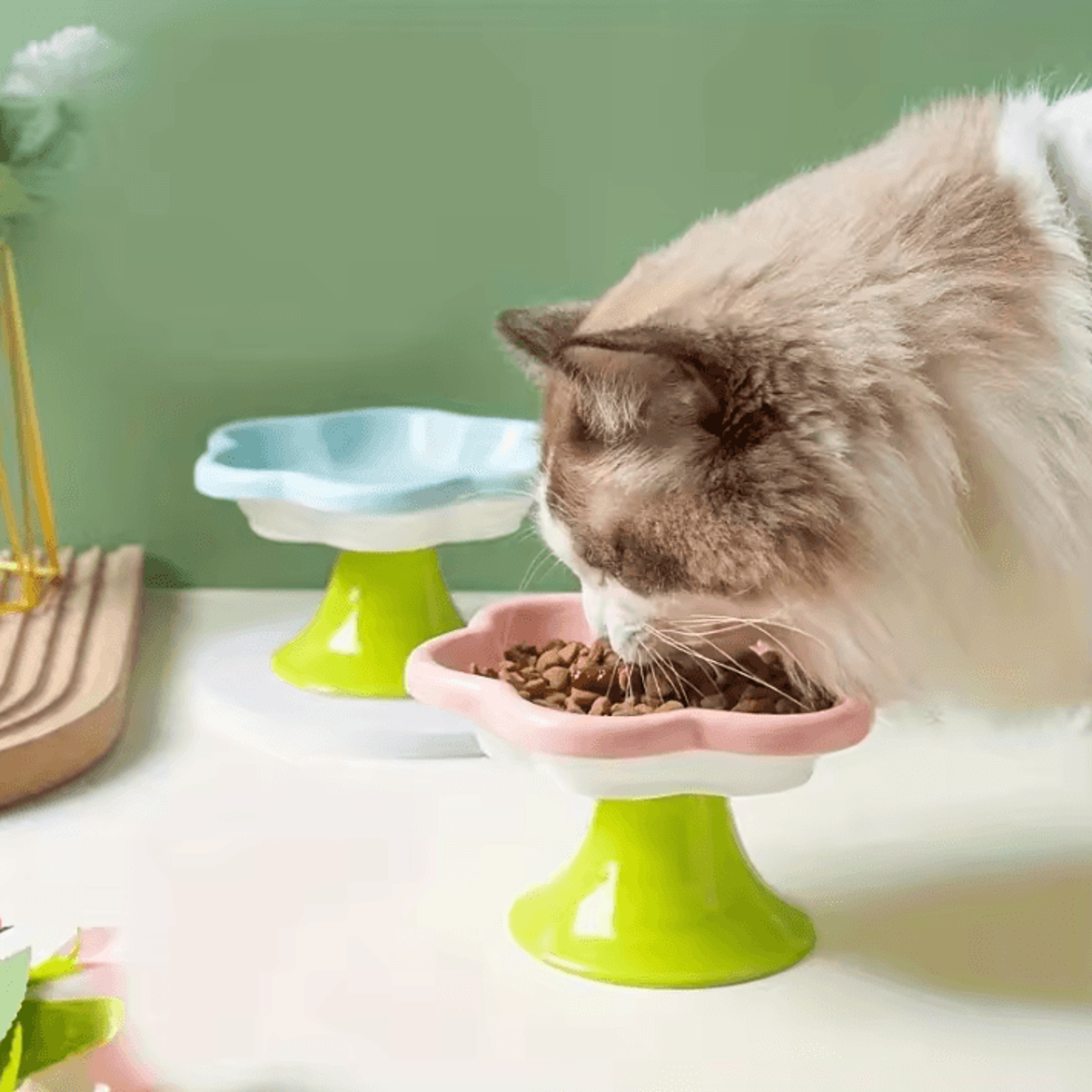 bloompet raised ceramic cat bowl with flower stand for neck protection