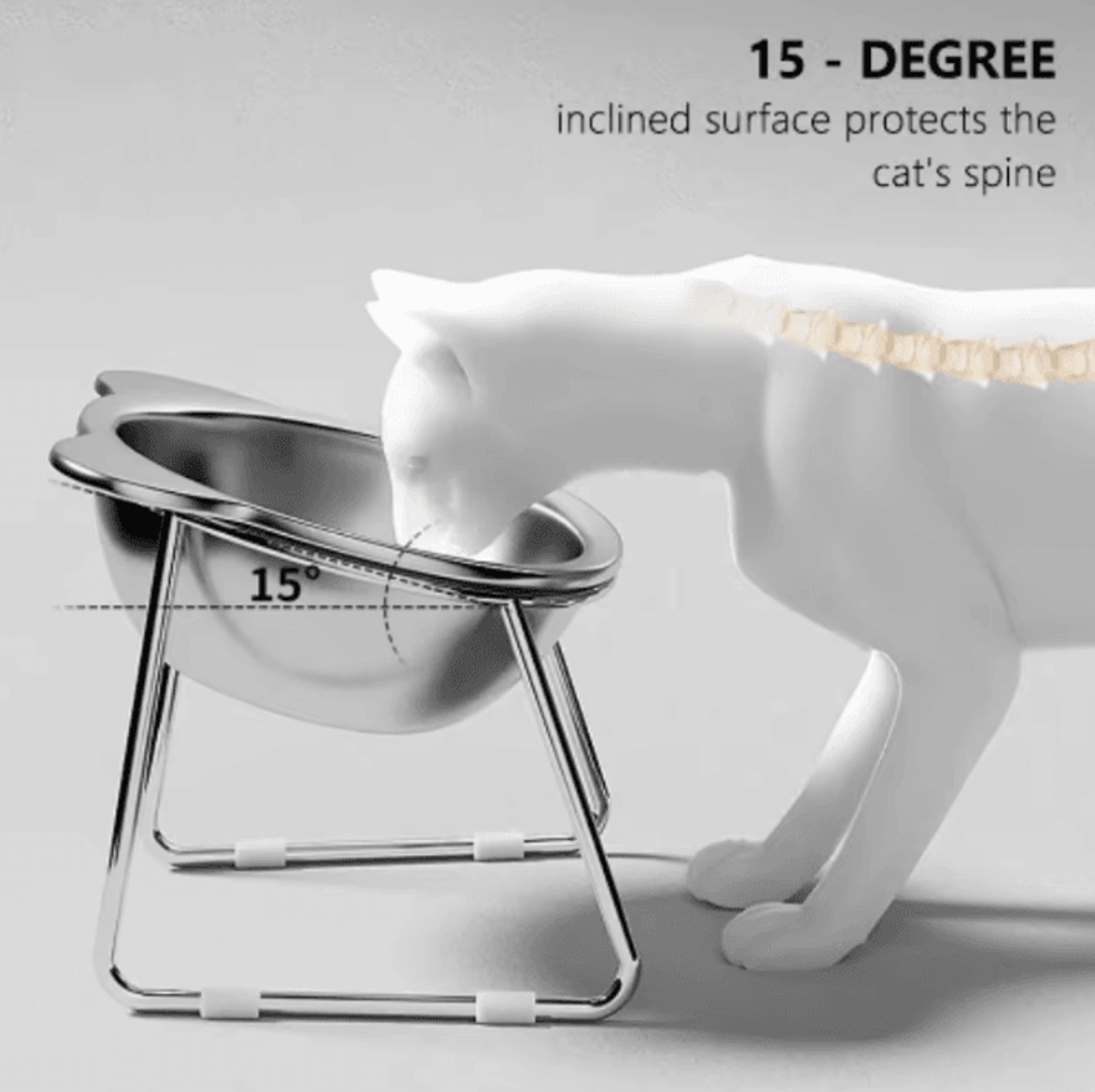 elevapaw tilted raised cat bowls with 304 stainless steel neck guard design