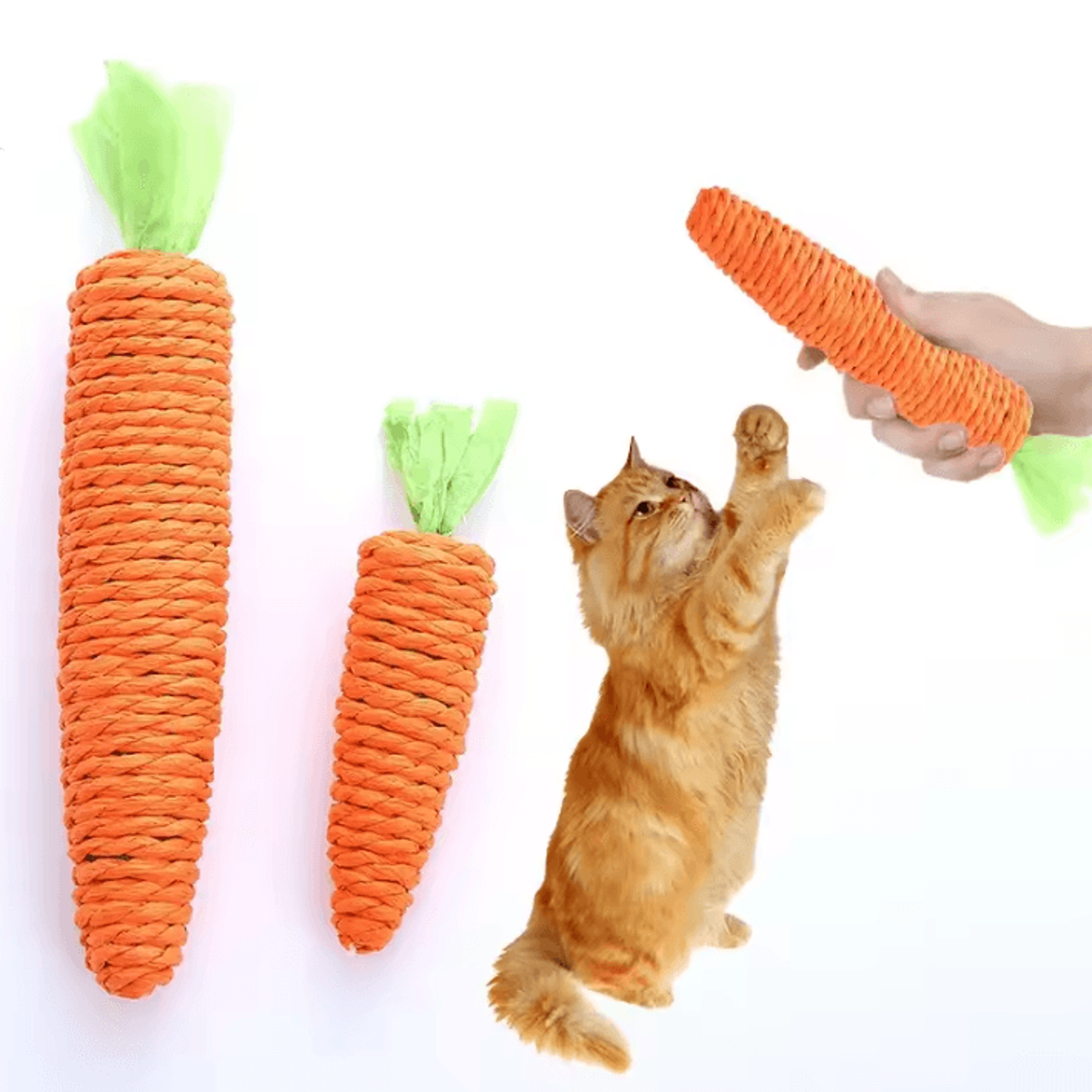 crunchycarrot interactive cat chew toy for indoor cats