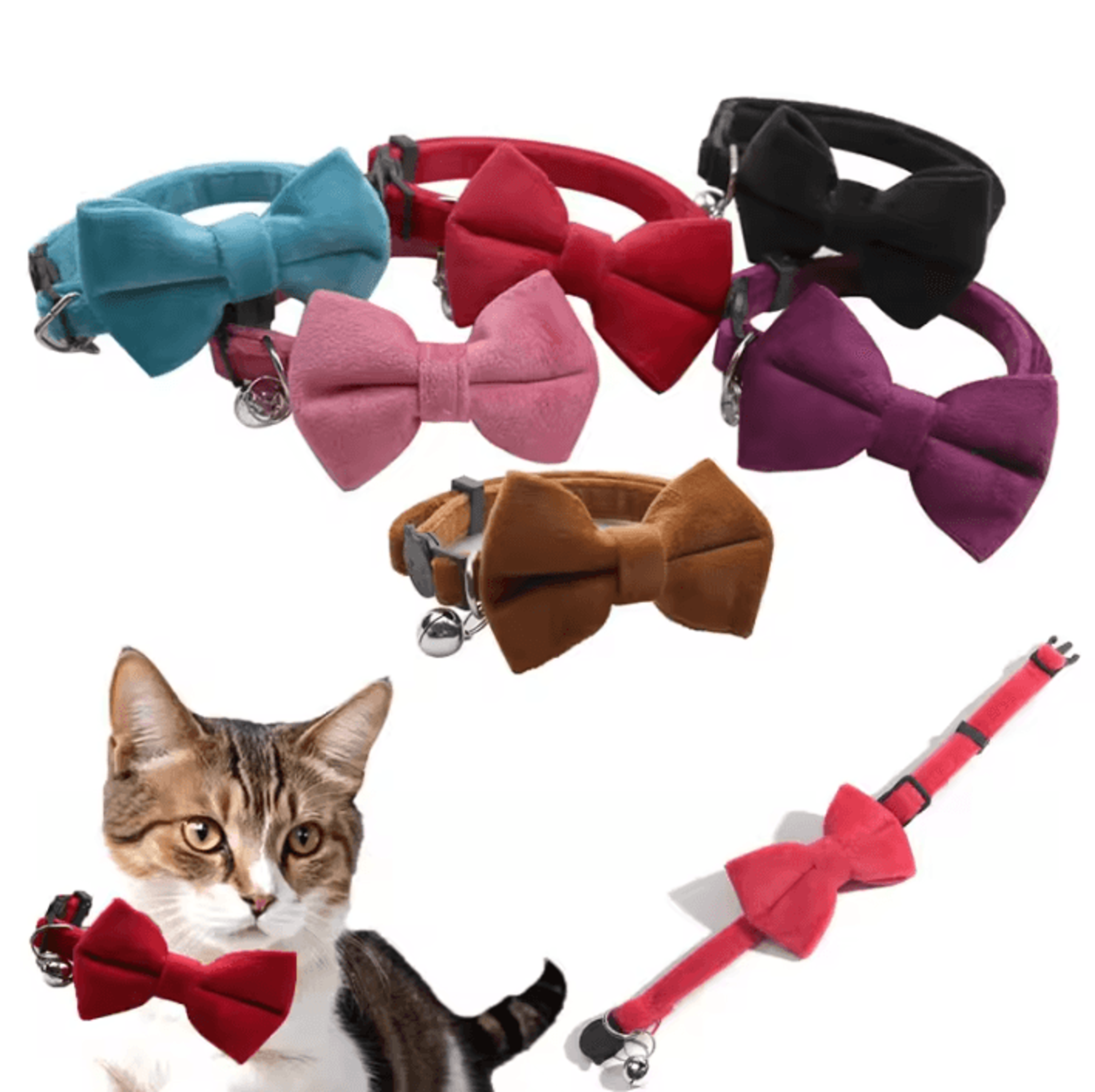velvet cat collar with bow tie & bell for cats and small dogs