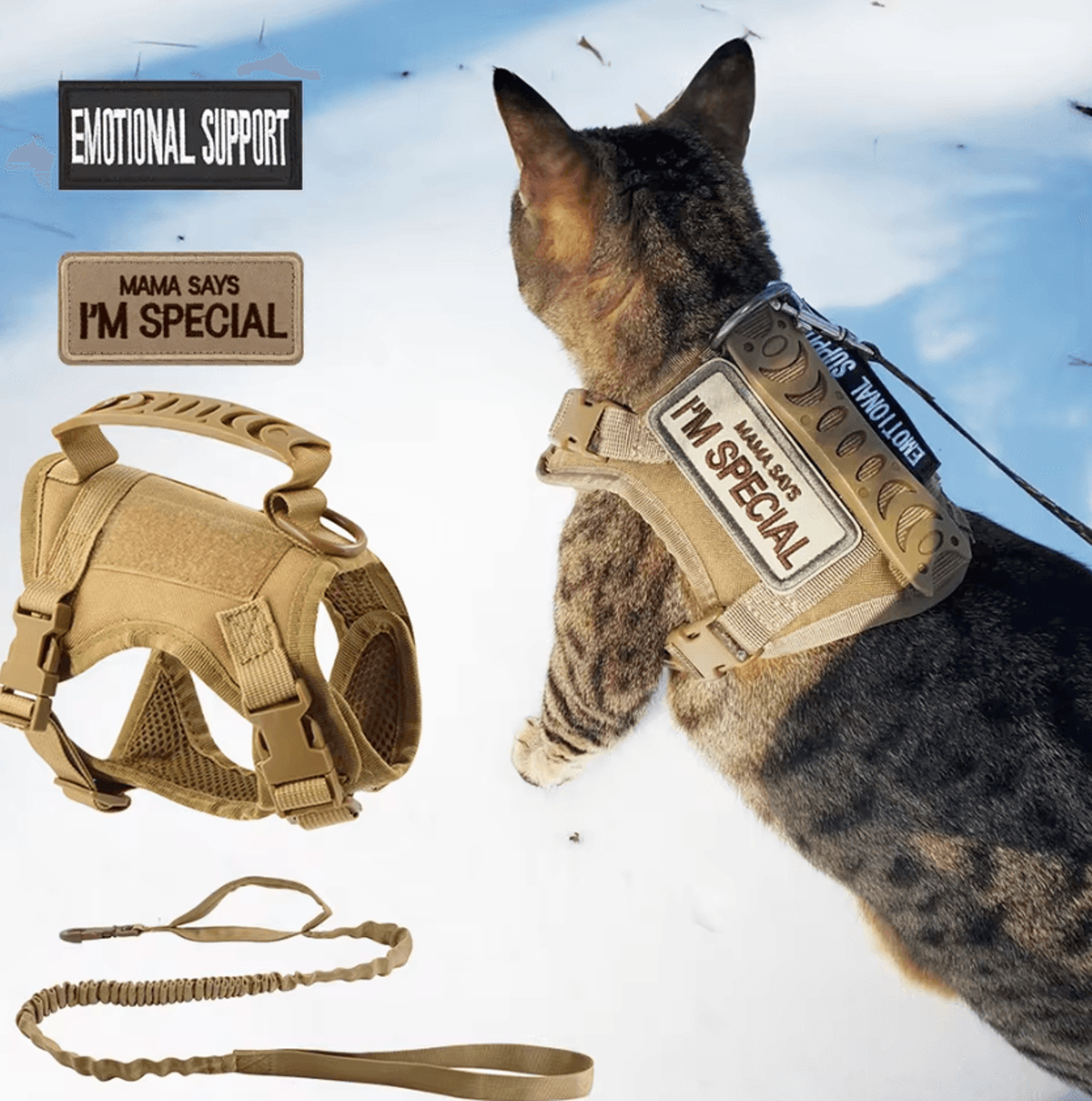 tactipaw tactical cat harness & leash vest for outdoor adventures