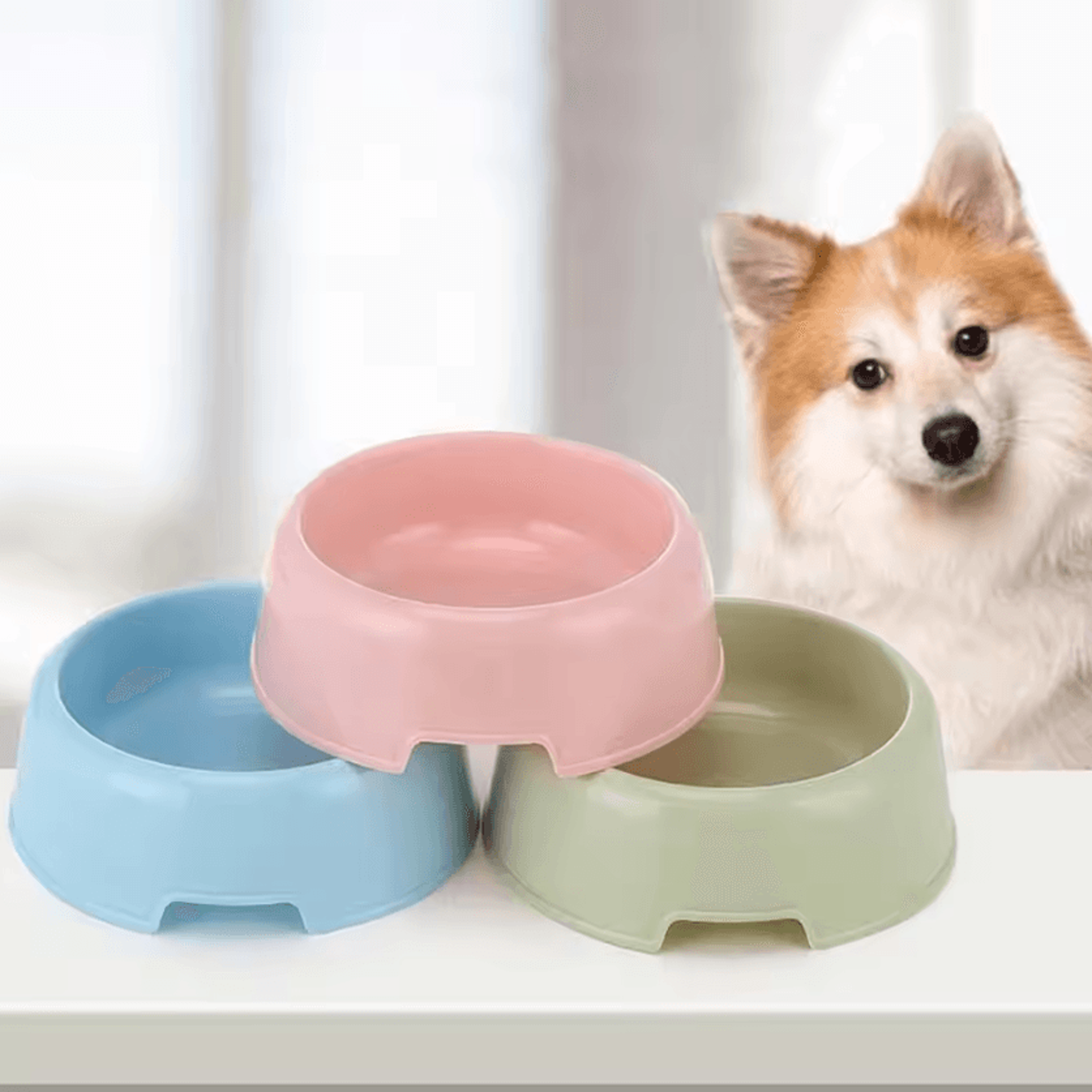 candypaws color pet bowl – lightweight food & water dish for cats & small dogs