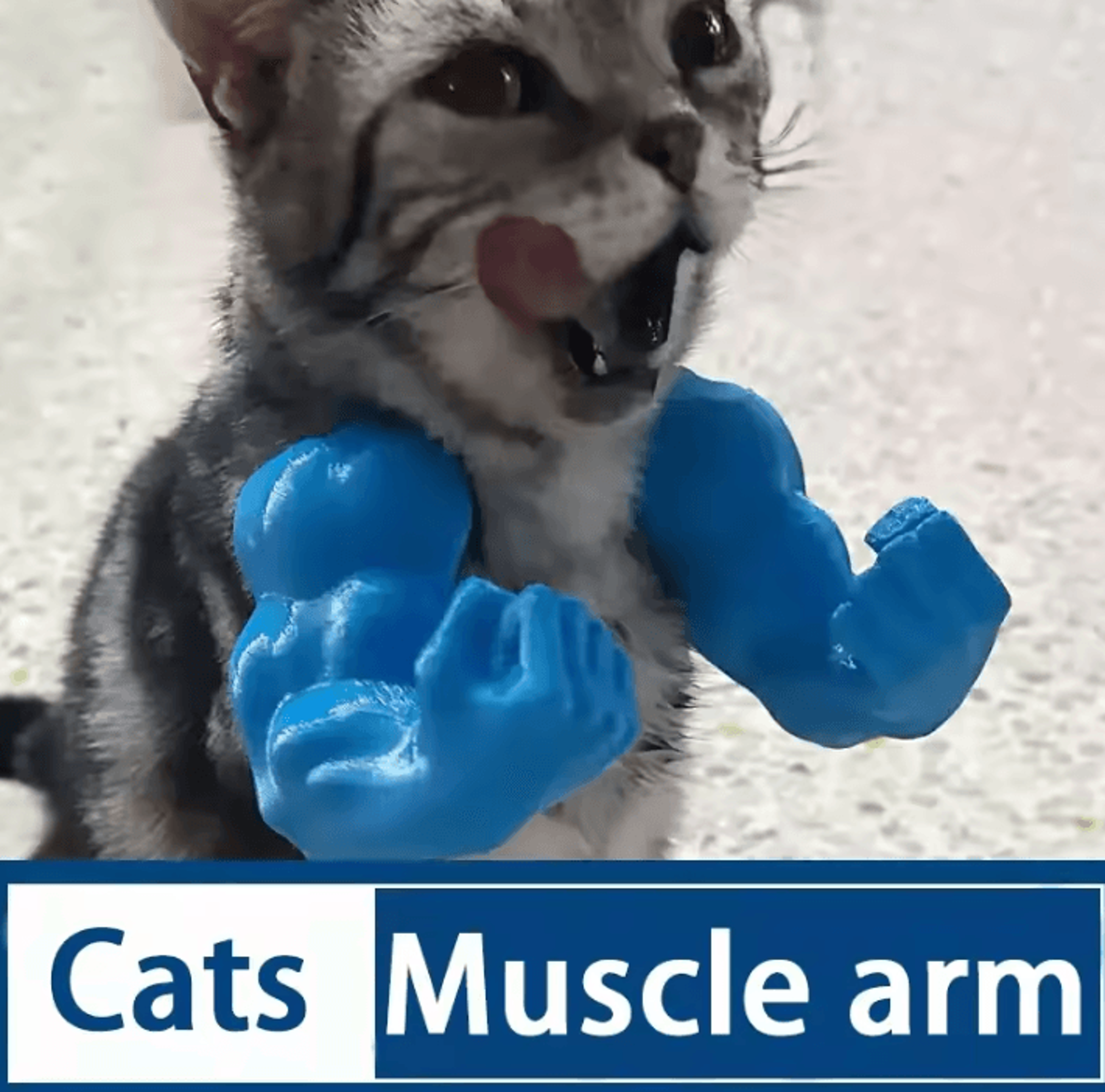 buffpaws funny cat muscle arms costume – hanging pet cosplay accessory for cats & small dogs