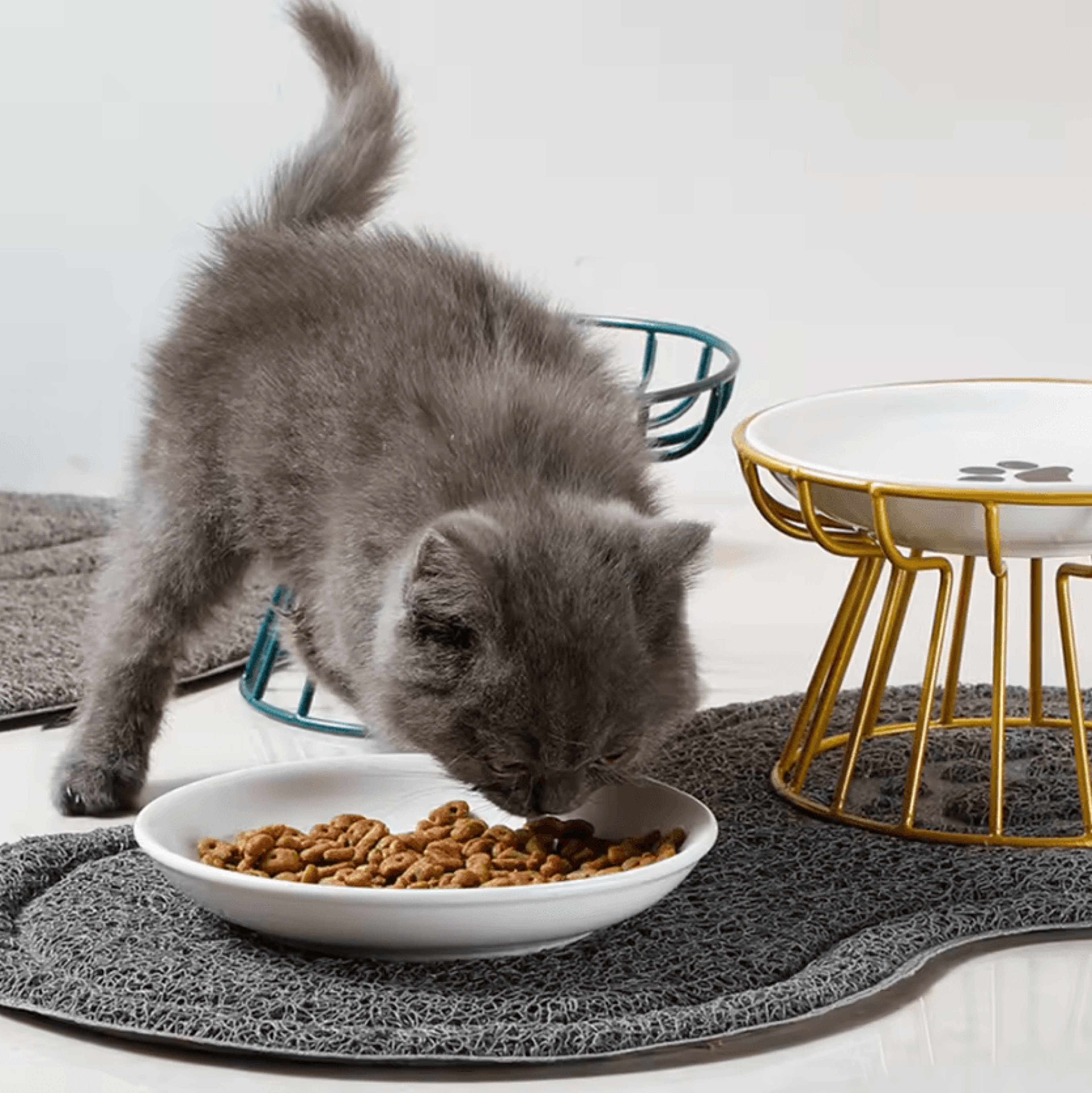 WhiskerFriendly Elevated Ceramic Cat Bowl With AntiTip Stand 1