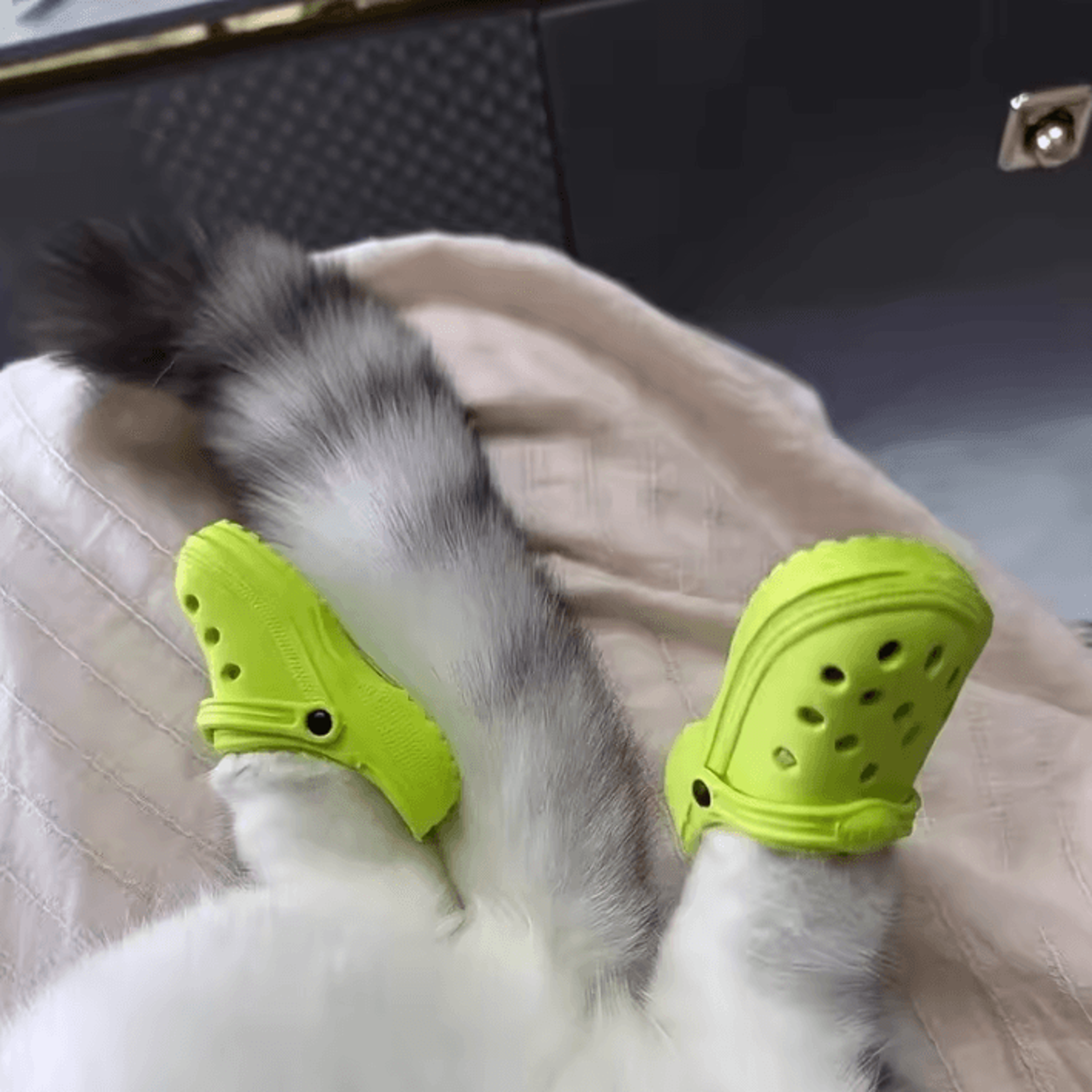 cute mini shoe charms for bags, pet toys & diy accessories