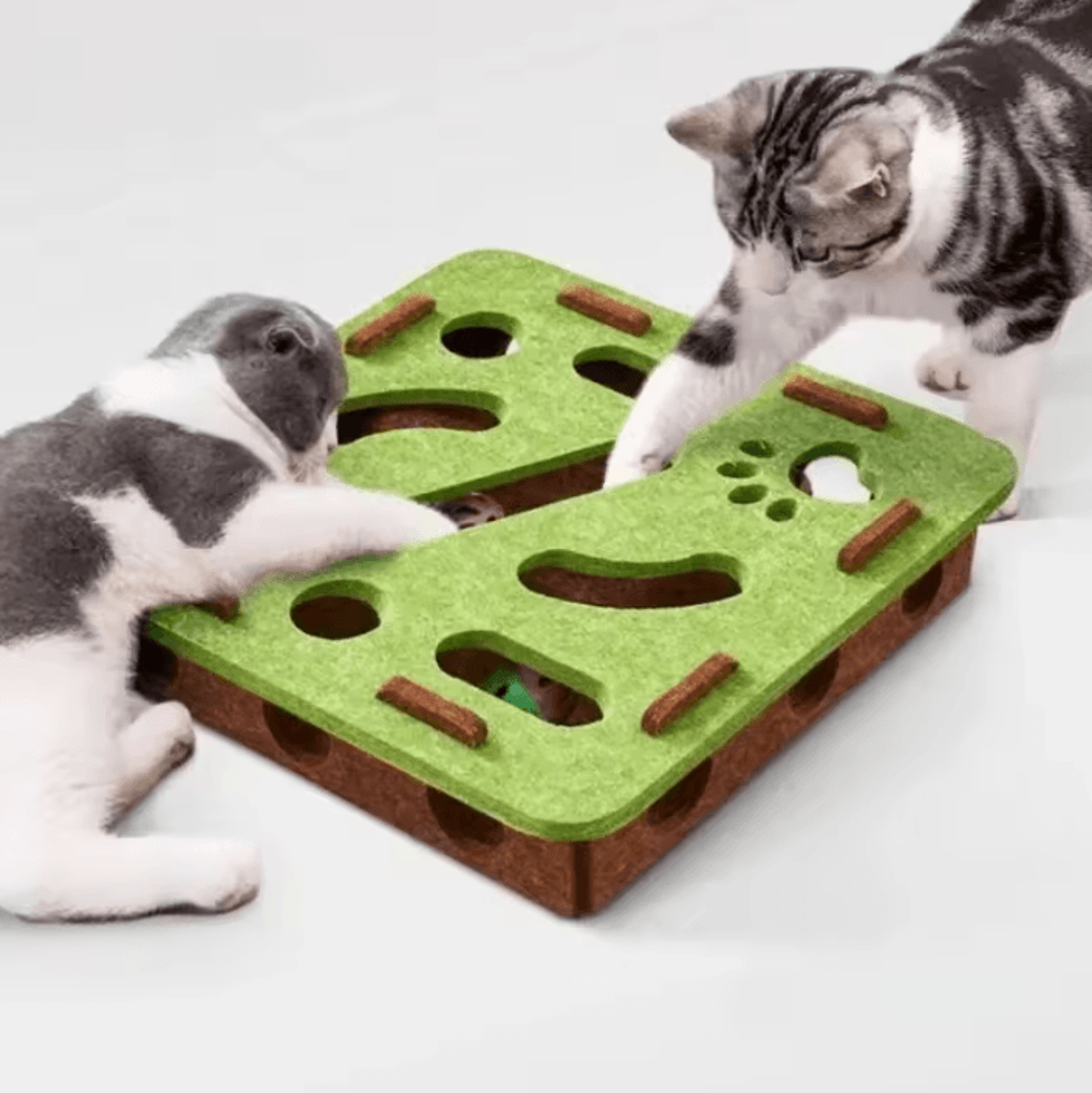 interactive cat puzzle maze box for indoor cats