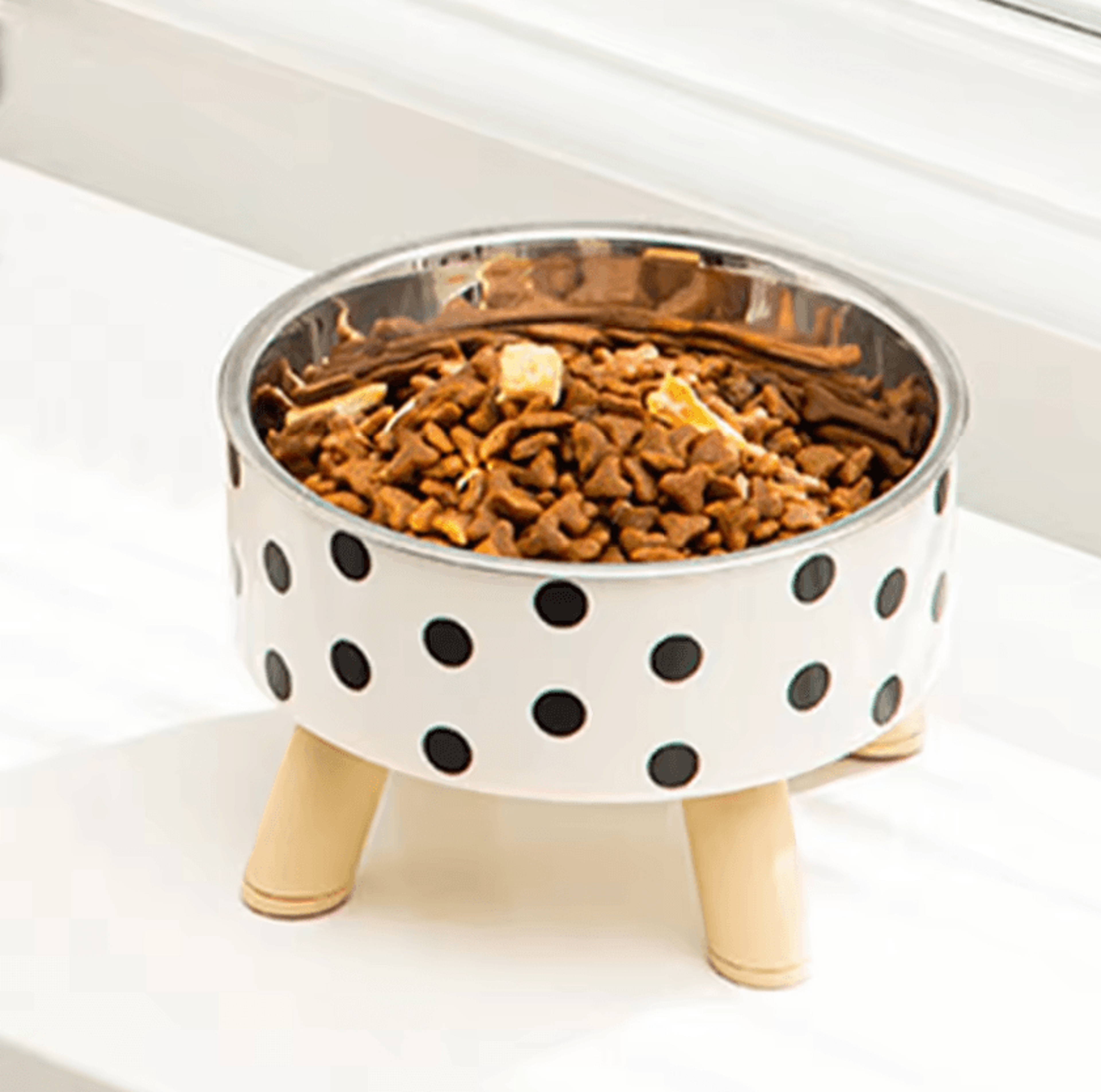 dottiepaws stainless steel pet food & water bowl