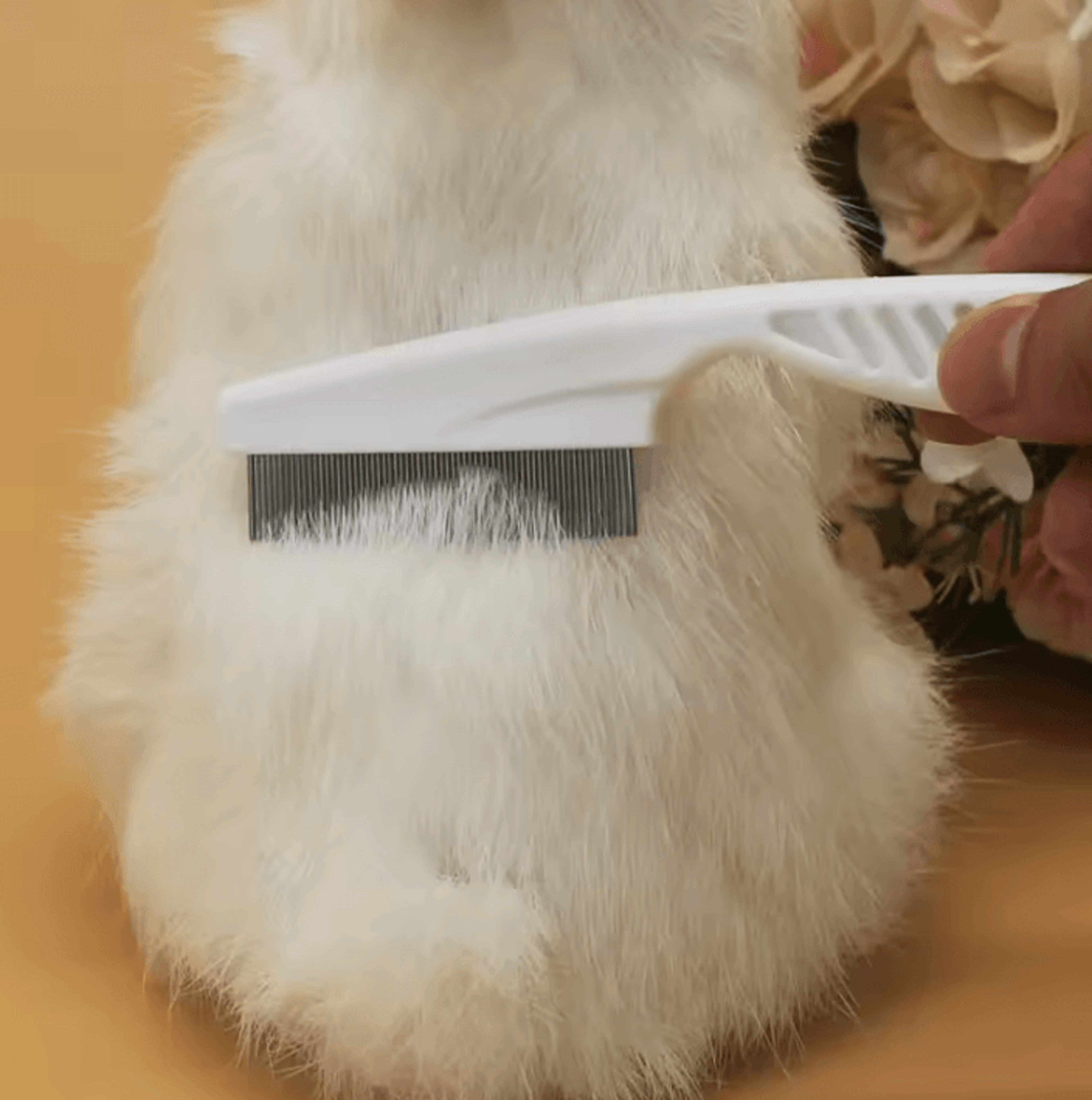 GentleGuard FineTooth Flea  Grooming Comb For Cats  Small Dogs 1