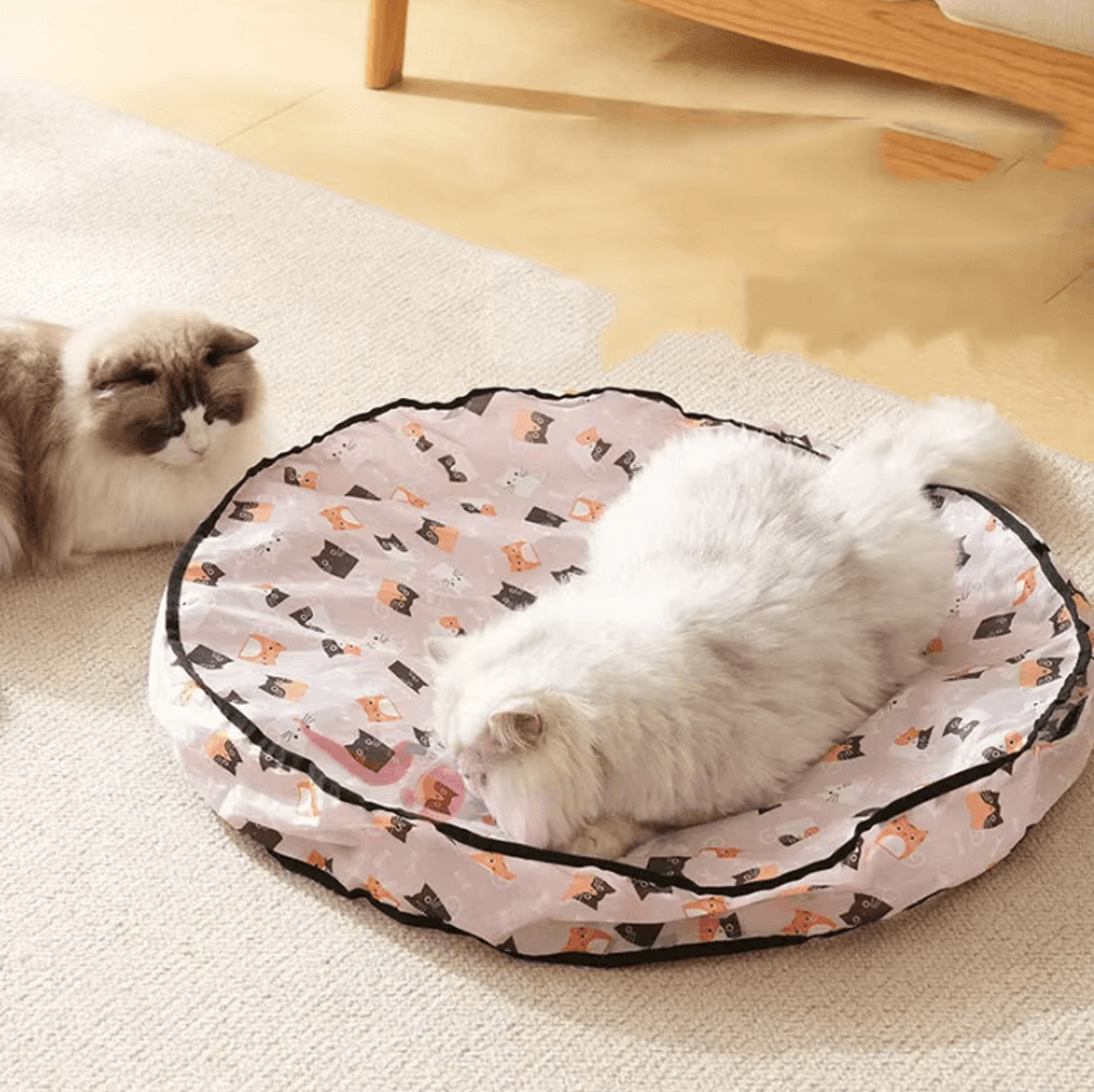 huntnest interactive cat tunnel toy with smart rolling ball