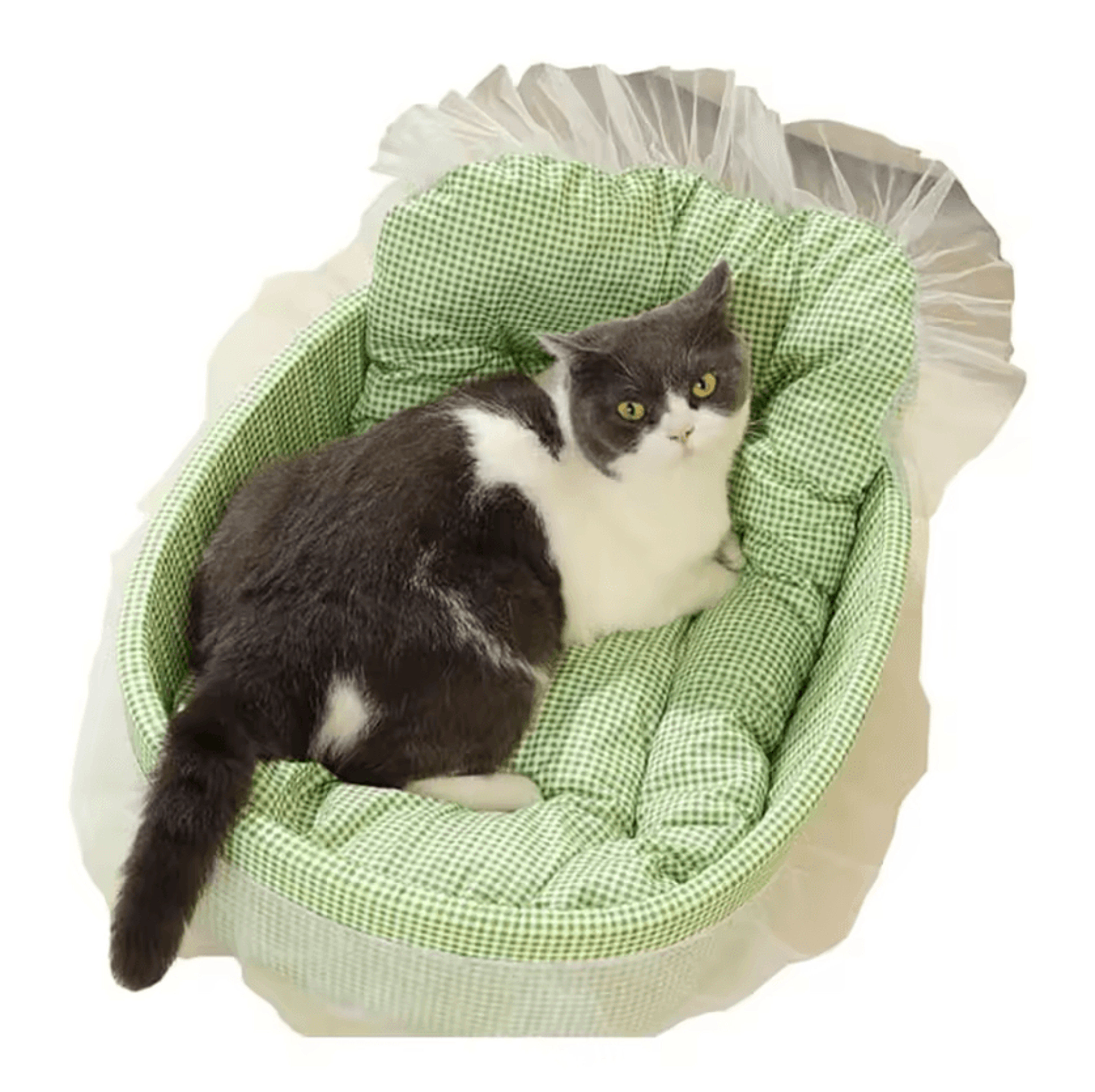 PrincessPaws LaceTrimmed Plush Pet Sofa Bed 4
