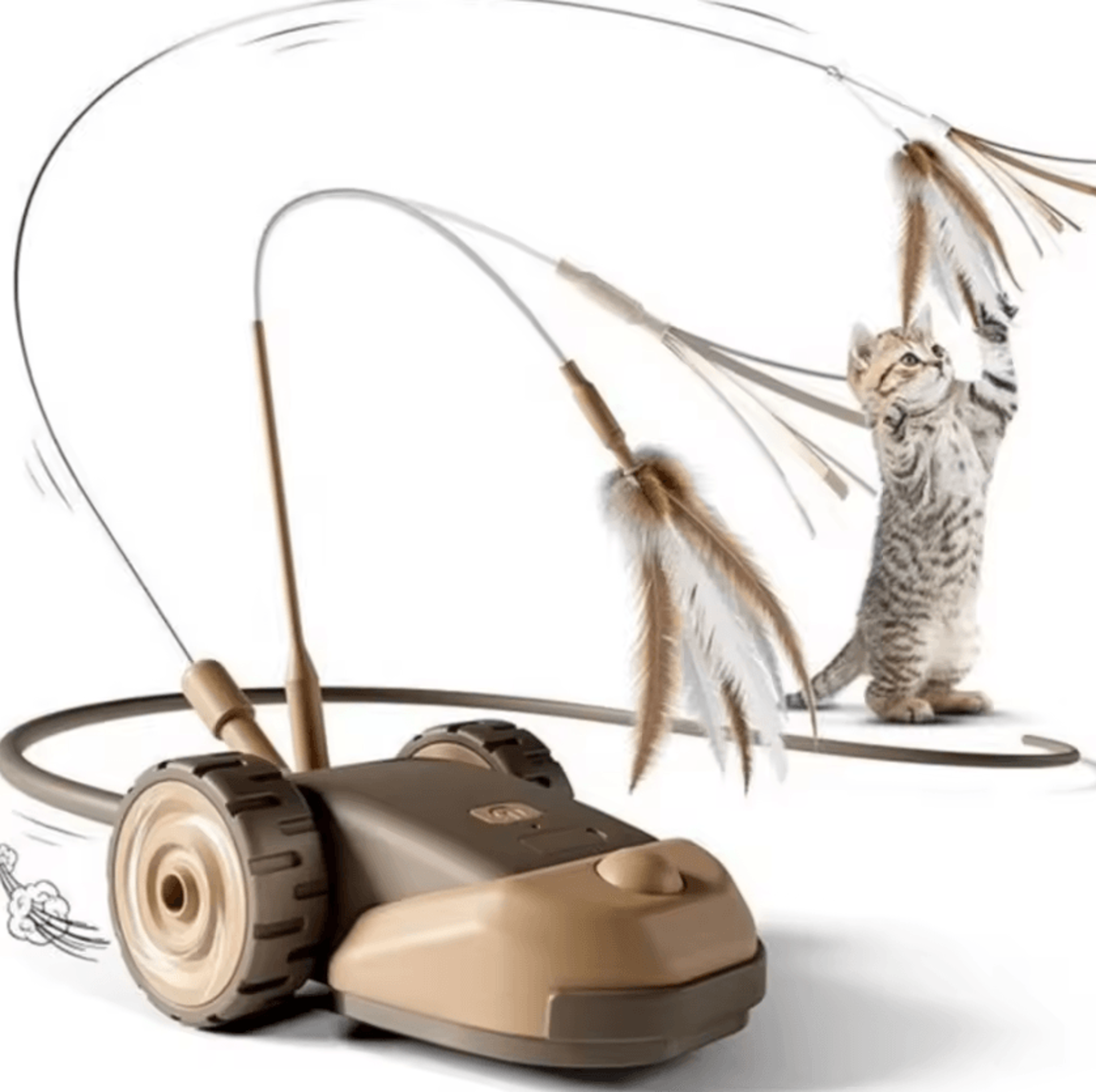 zoompaws smart moving toy car for cats & small dogs