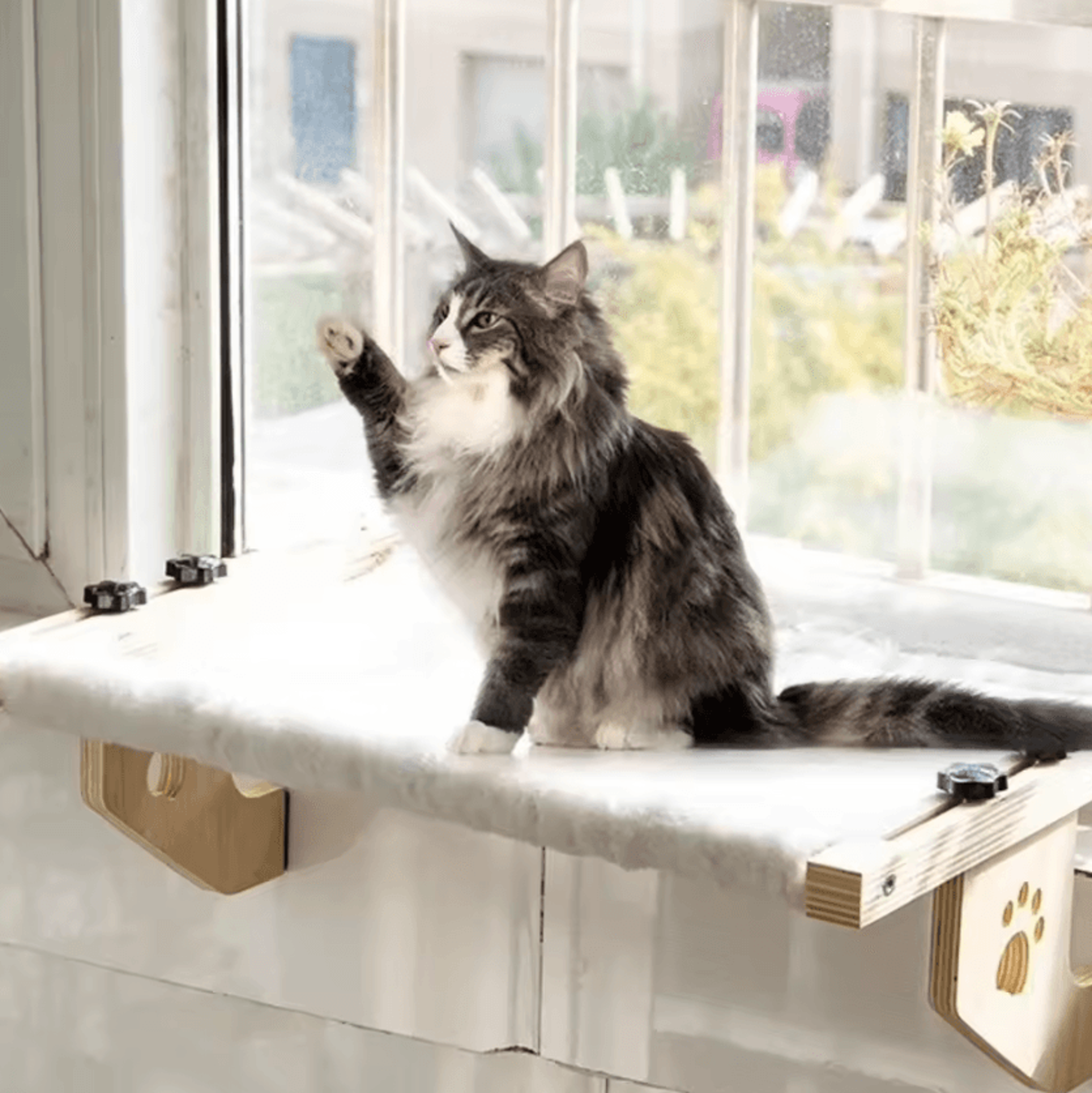 Wooden Frame Cat Window Hammock Bed With Paw Print Design 0