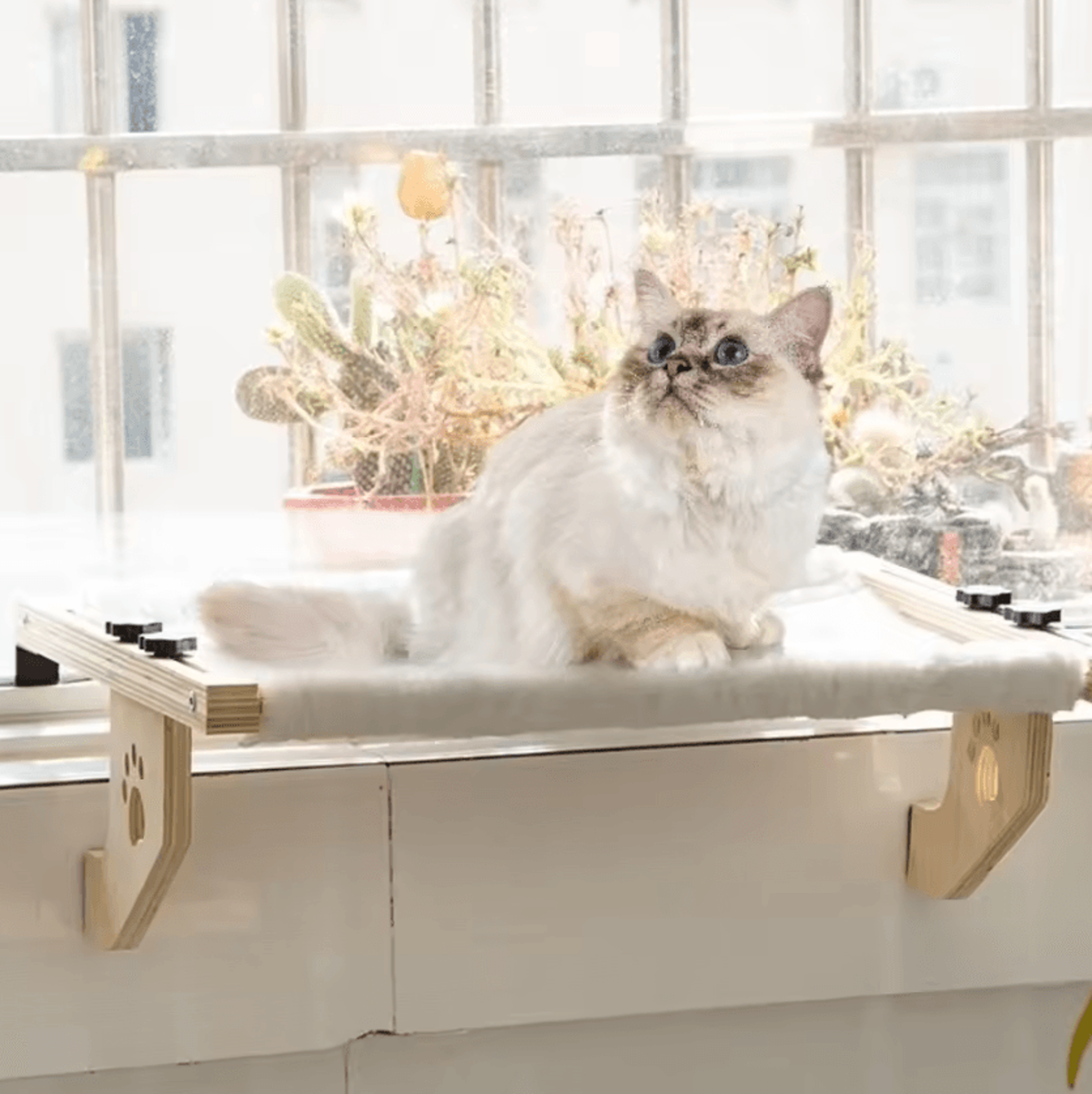 Wooden Frame Cat Window Hammock Bed With Paw Print Design 3