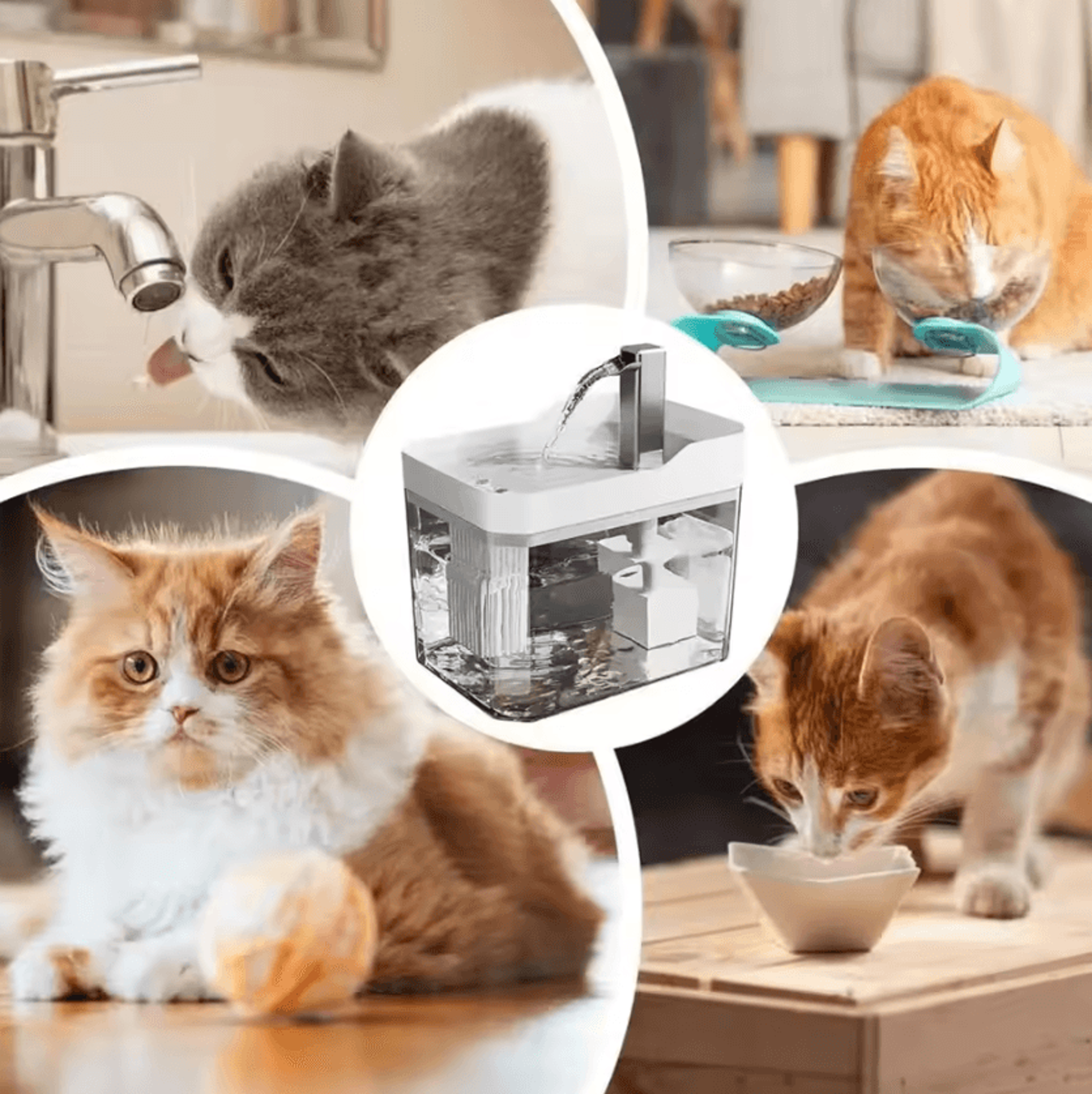 ClearFlow 15L Automatic Cat Water Fountain 2