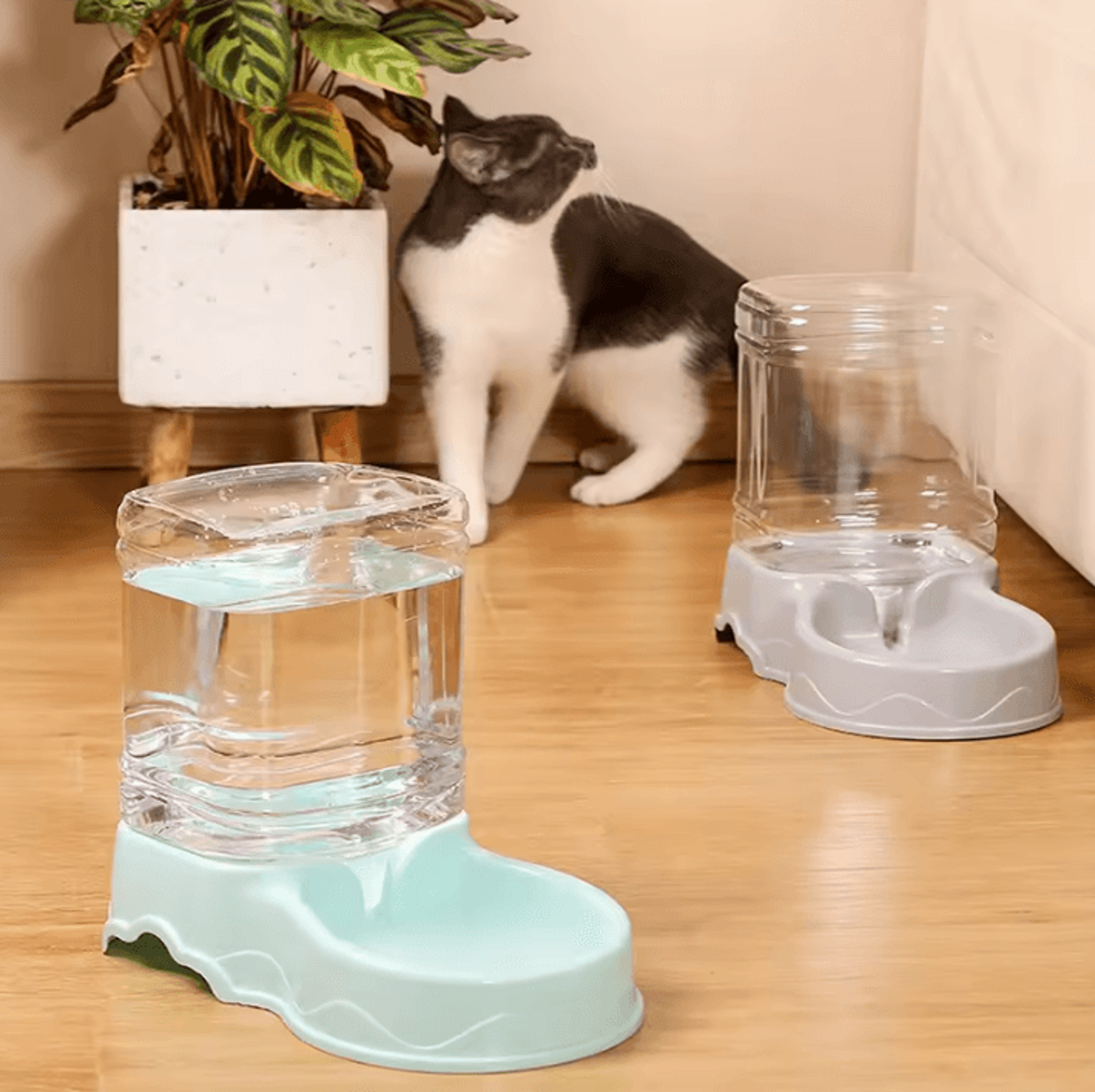 autoflow 3.8l pet feeder & water dispenser station