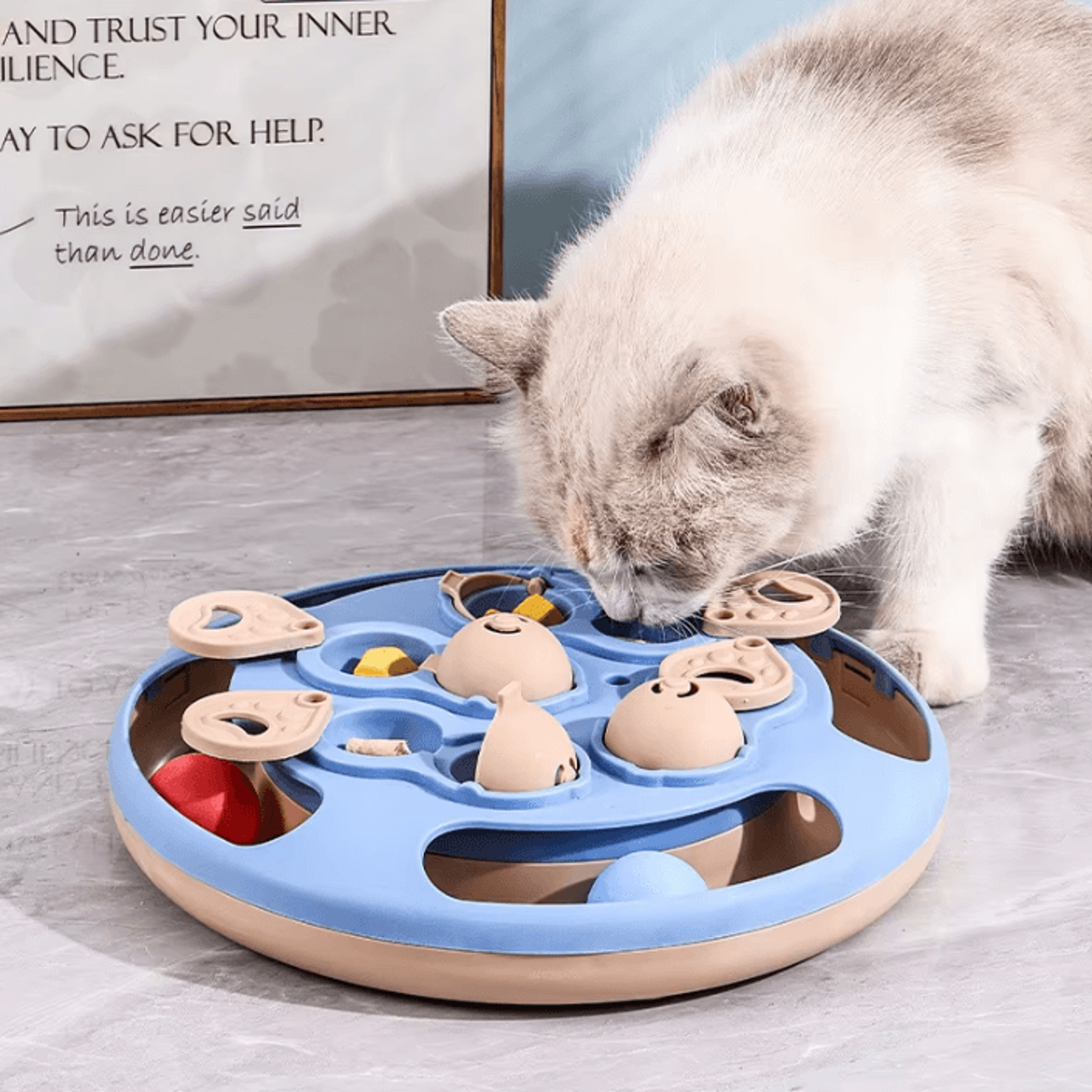 spintreat interactive slow feeder puzzle toy for cats