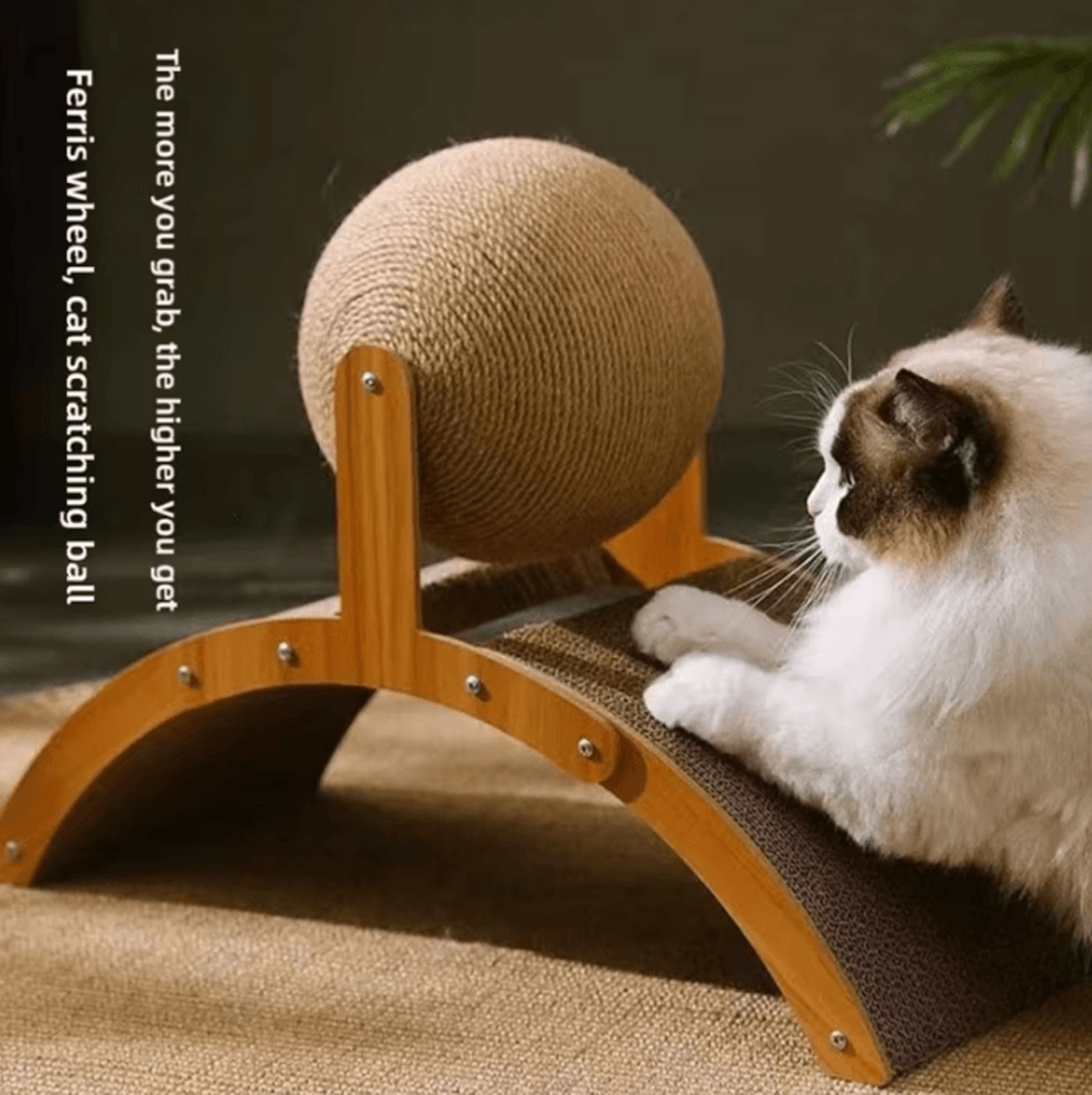 pawspin 2-in-1 wooden cat scratching ball & sisal scratch board