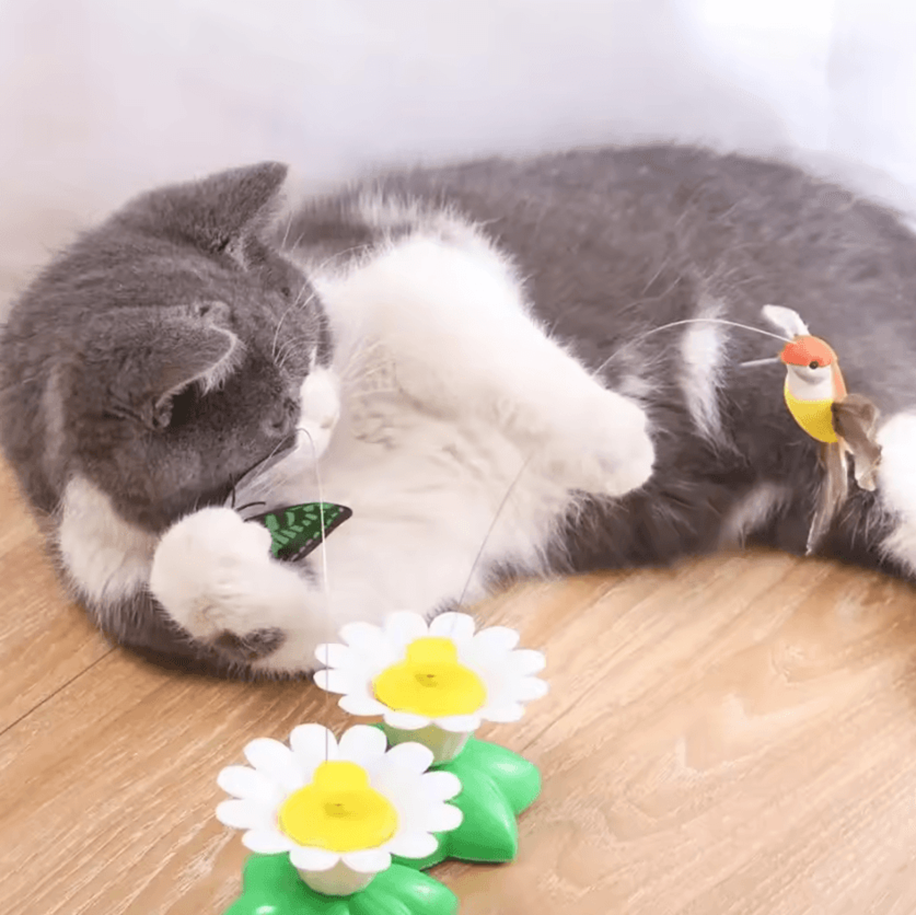FlutterFly Interactive Electric Butterfly Cat Toy 1
