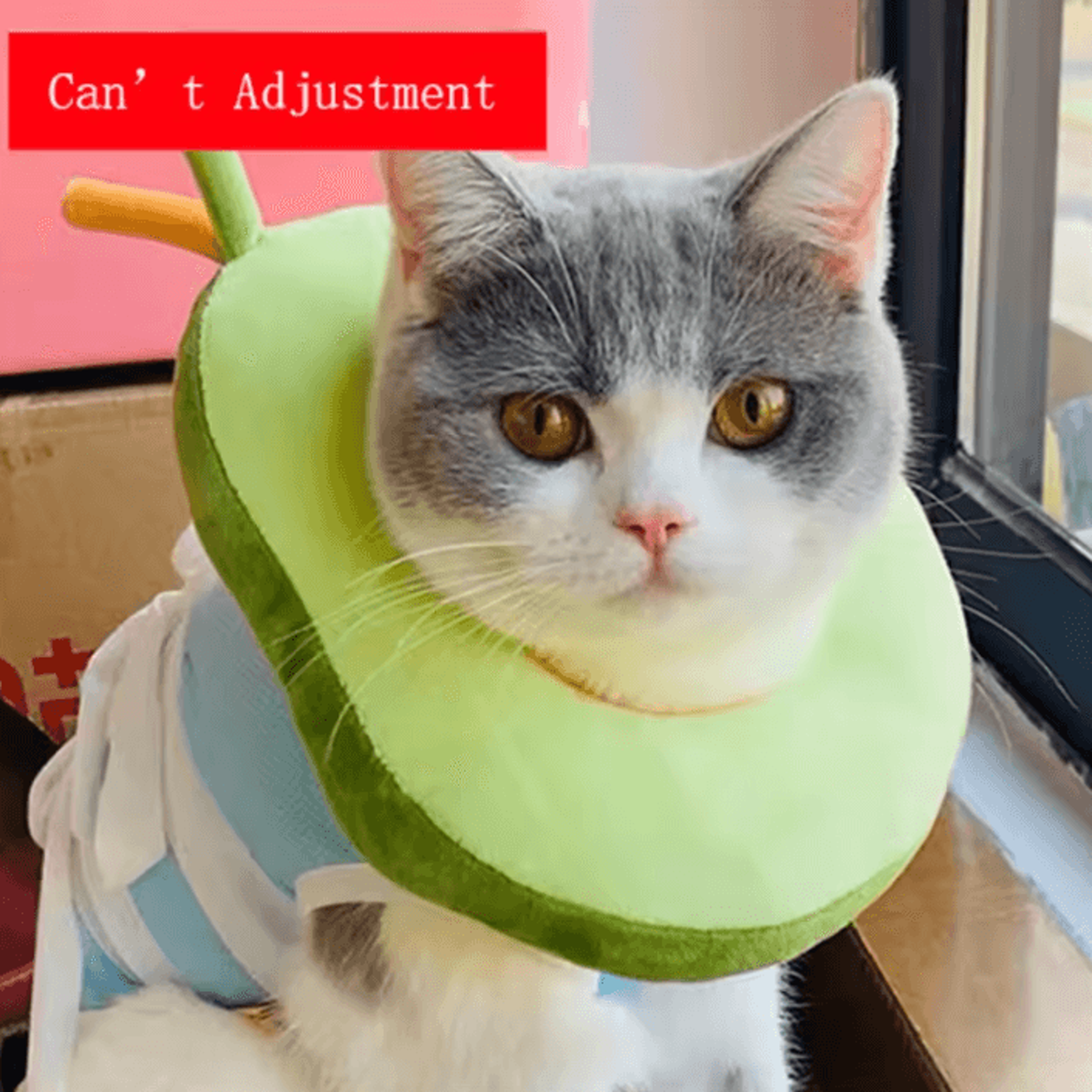 avocado toast pet recovery collar – soft adjustable elizabethan cone for cats & dogs