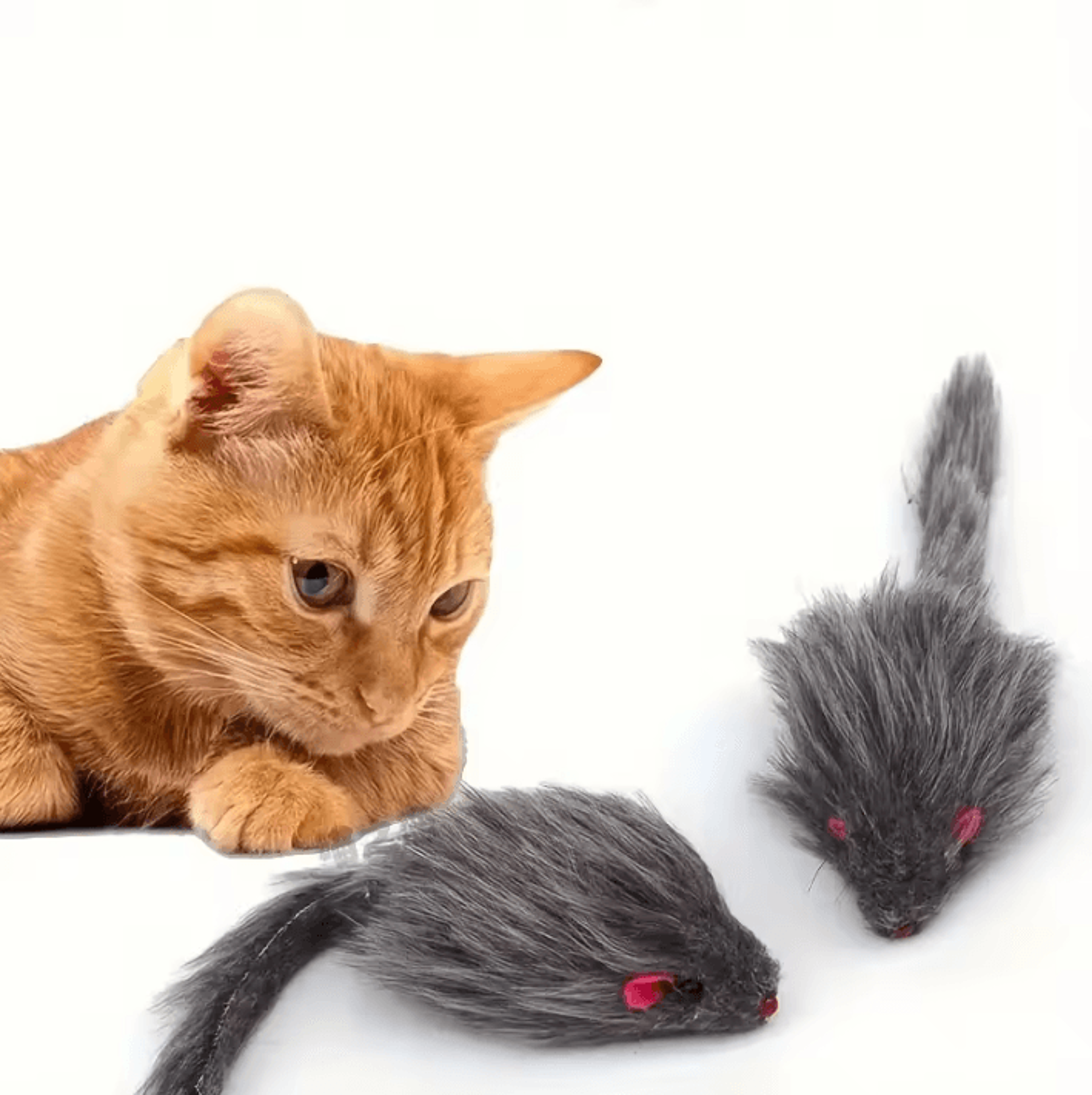 HuntPlay Plush Mouse Cat Toys Set 2