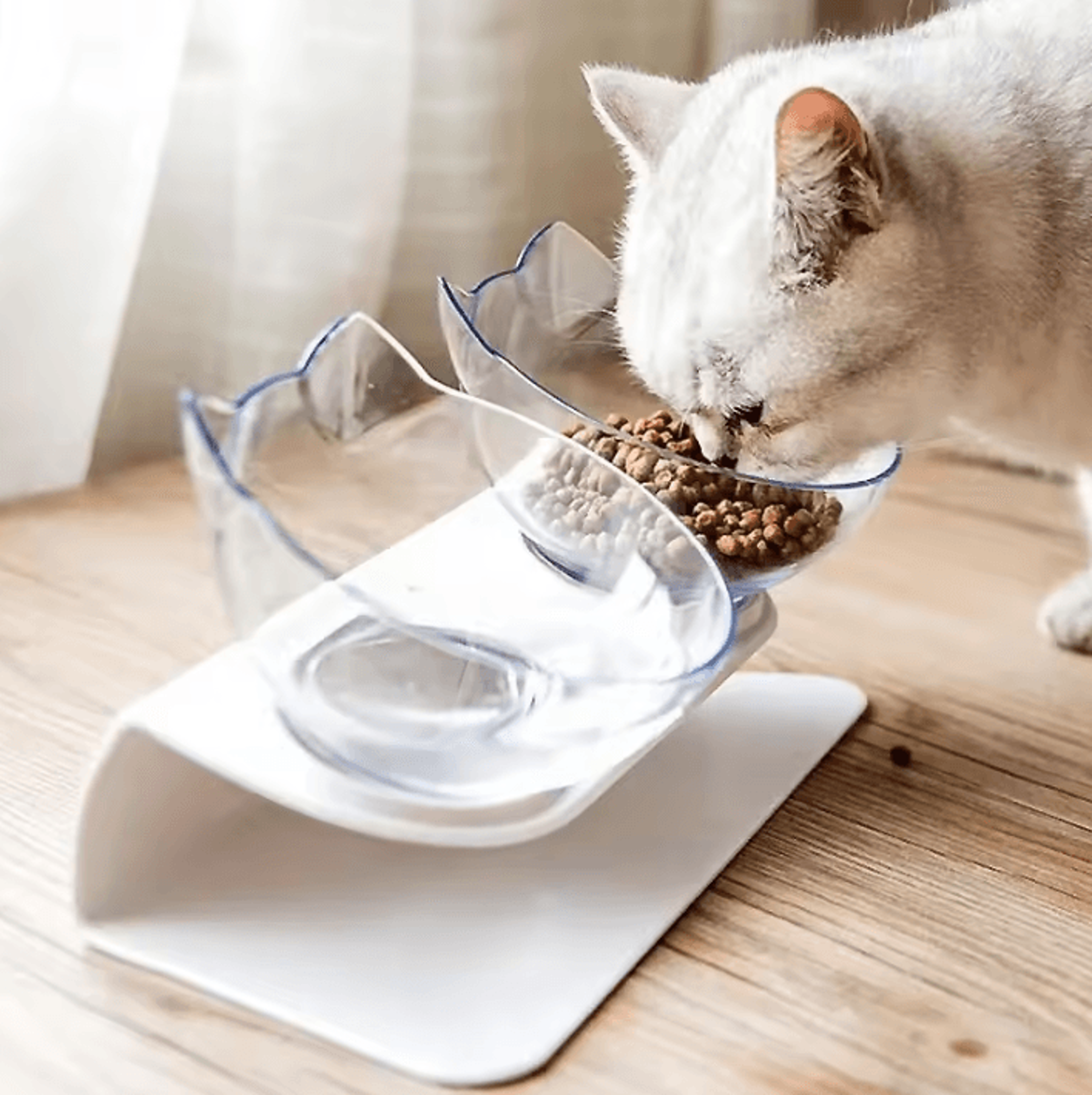 dineease elevated double pet bowl with non-slip stand
