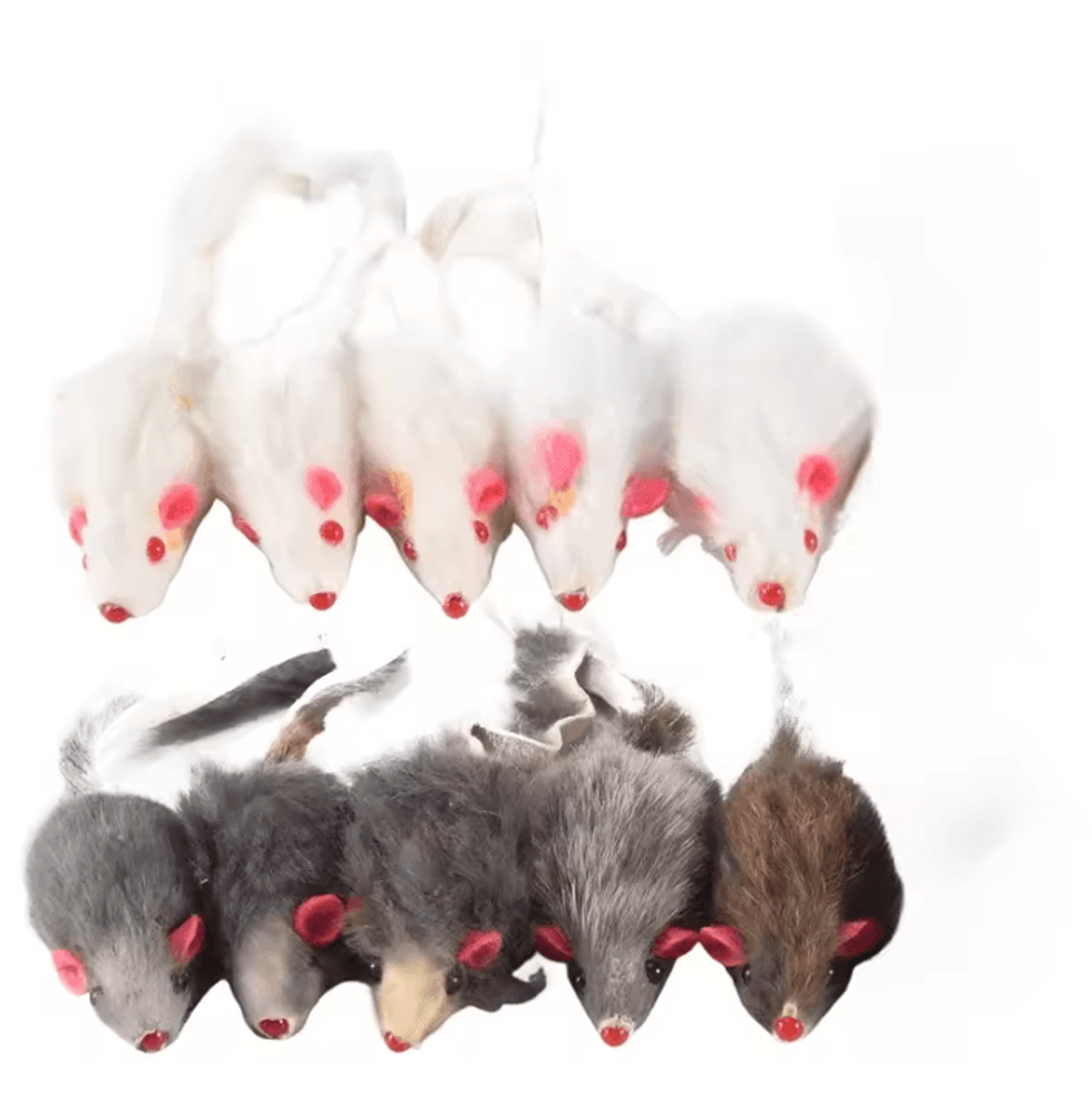 10Pack Plush Mouse Cat Toys For Interactive Play  Exercise 0