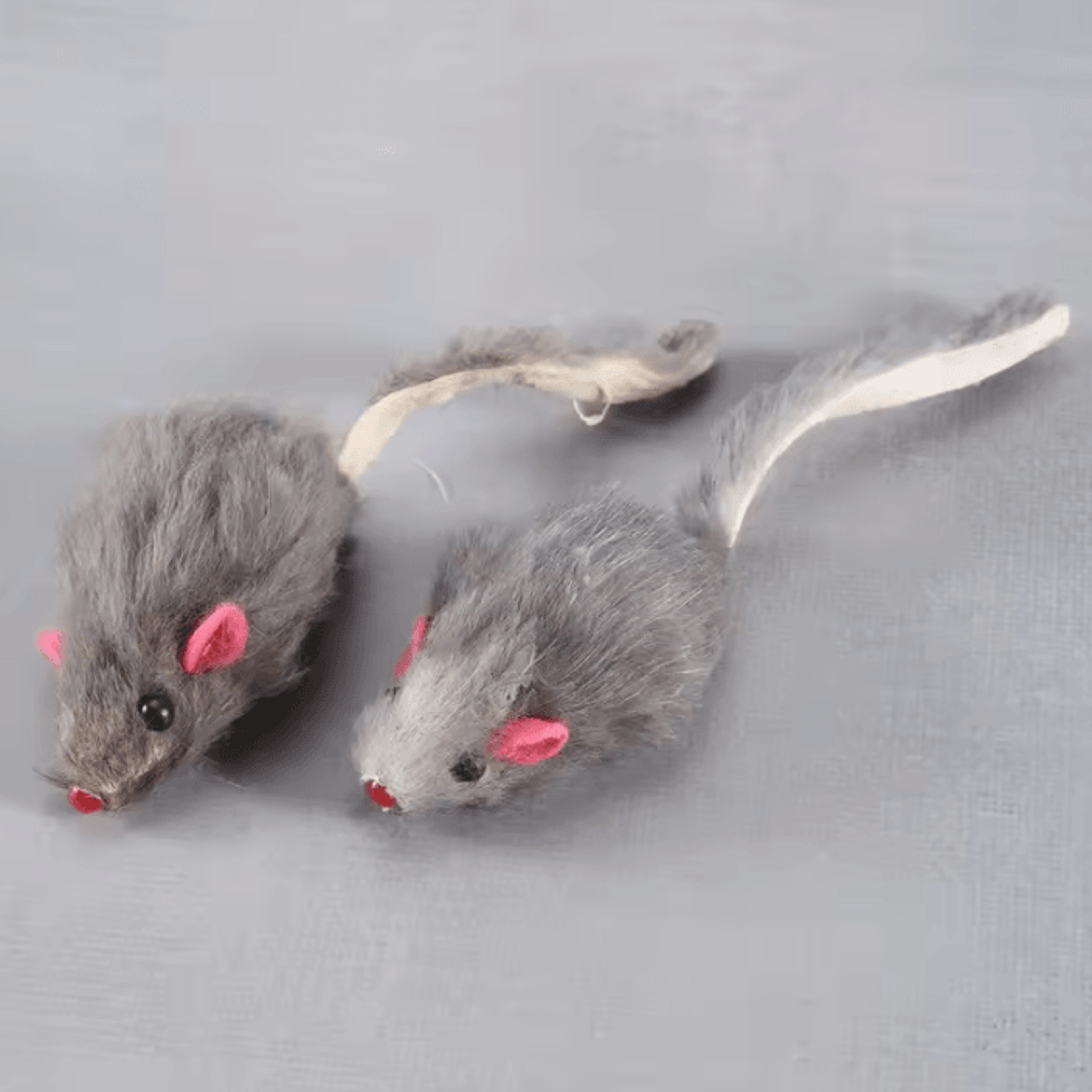 10Pack Plush Mouse Cat Toys For Interactive Play  Exercise 1