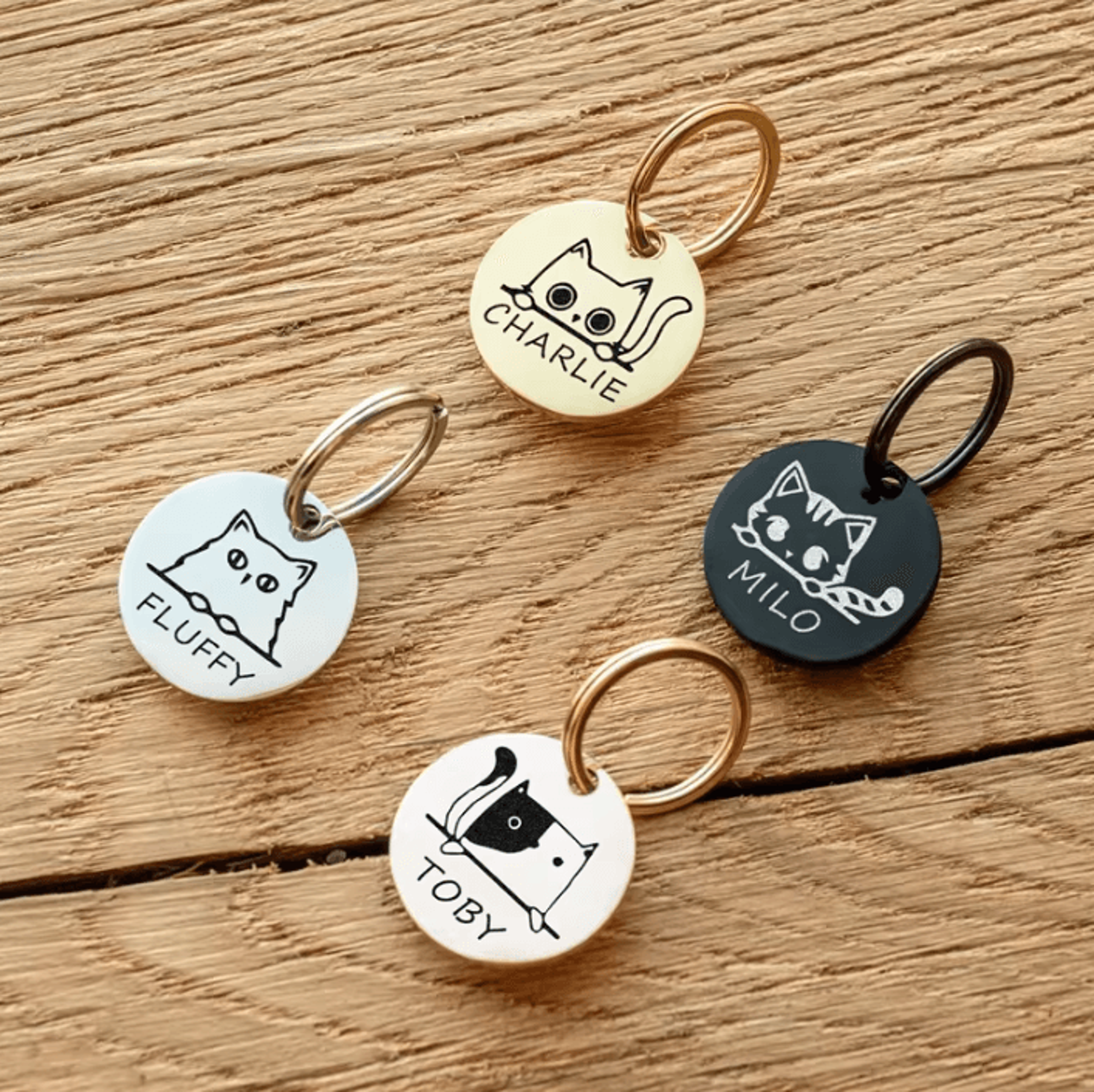 pawcharm personalized cat id tag with engraved name